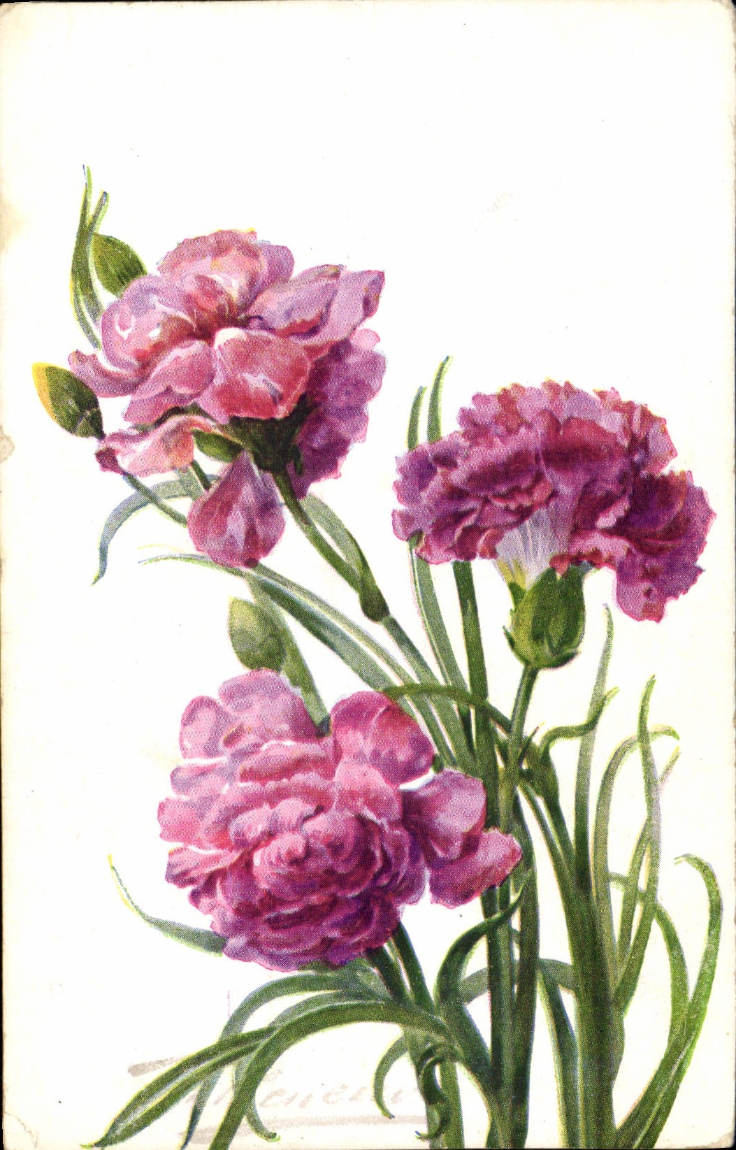 Postal Fantasia Flores Ojal Rosado