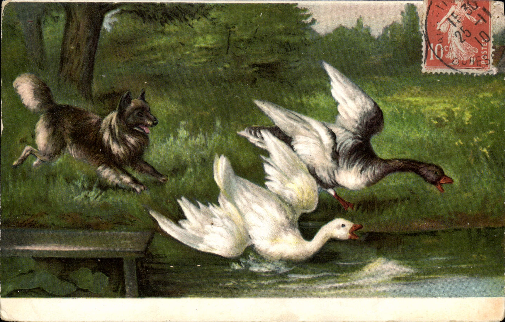 CPA Oies Chien 