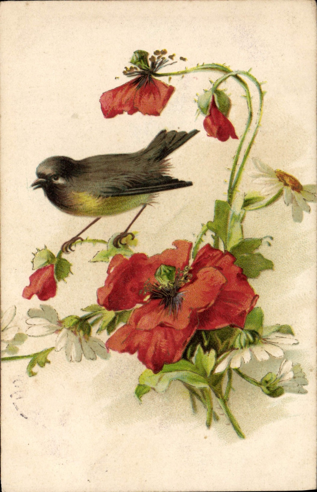 CPA Oiseau Fleurs 