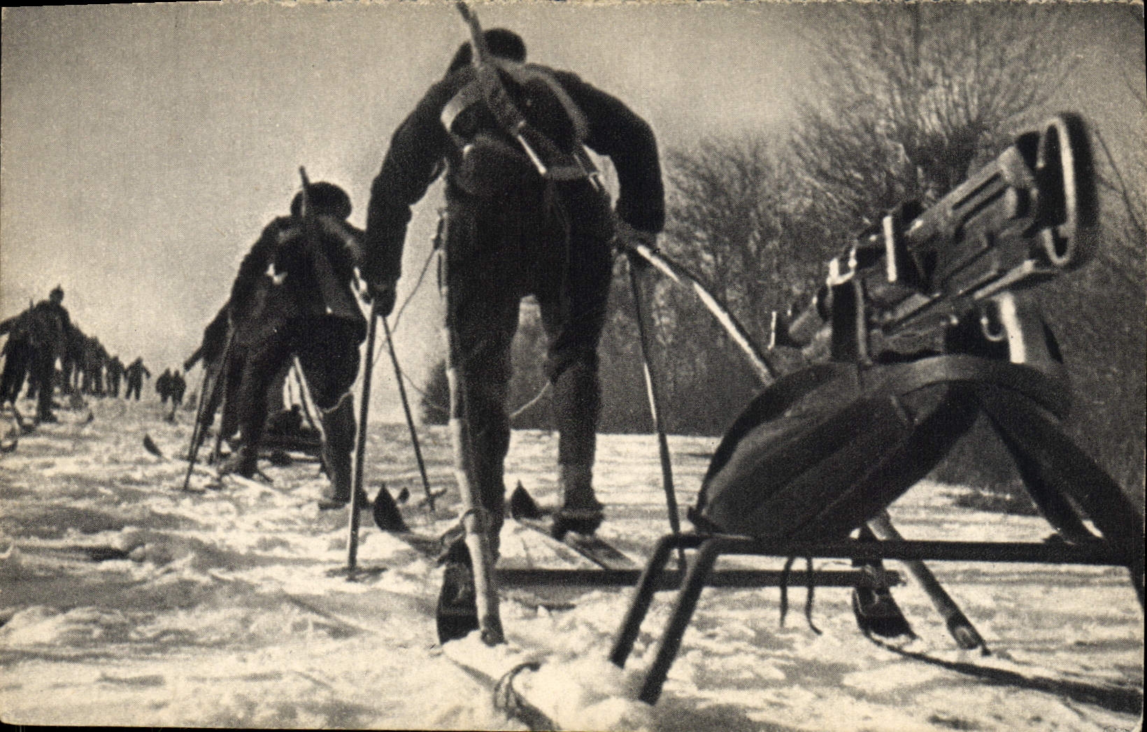 CPA Militaria Chasseurs alpins Ski