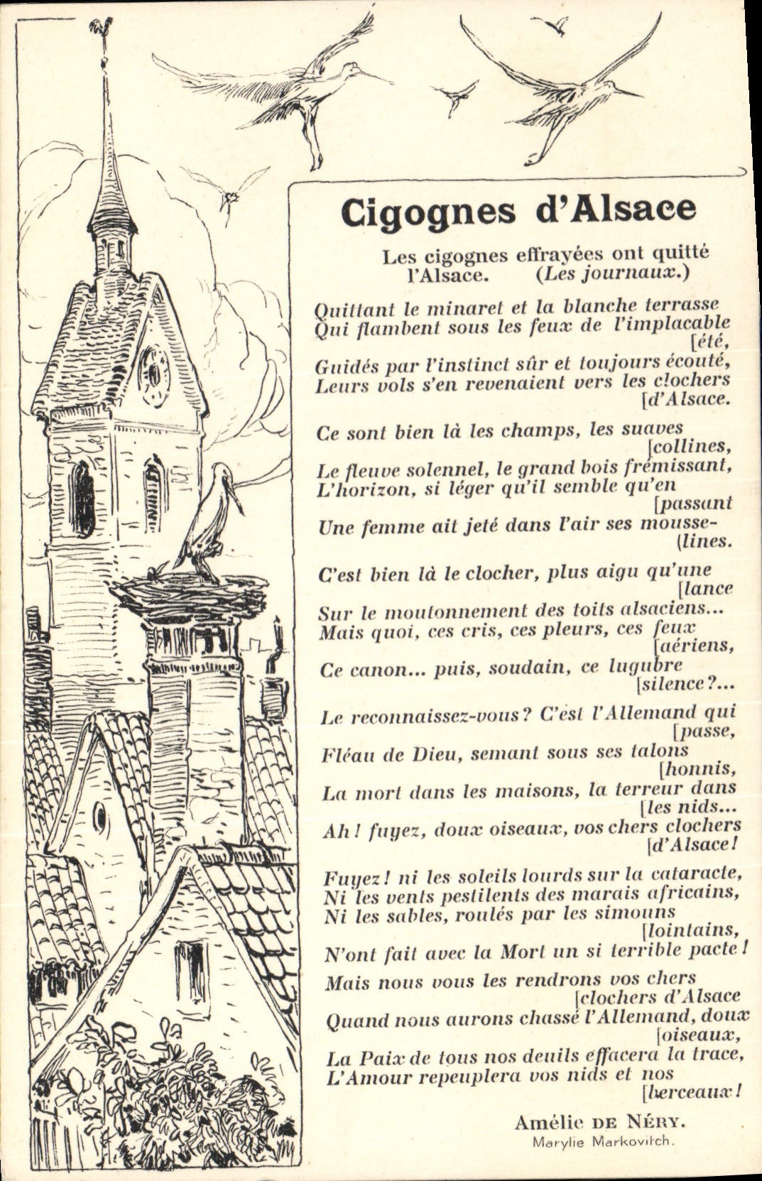 CPA Folklore Alsace Cigognes