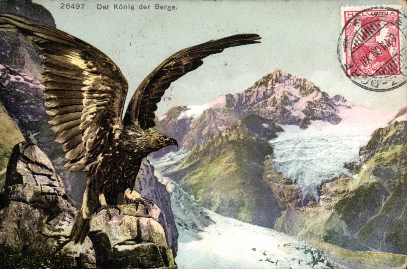 CPA Der Koning der Berge Rapace Aigle 