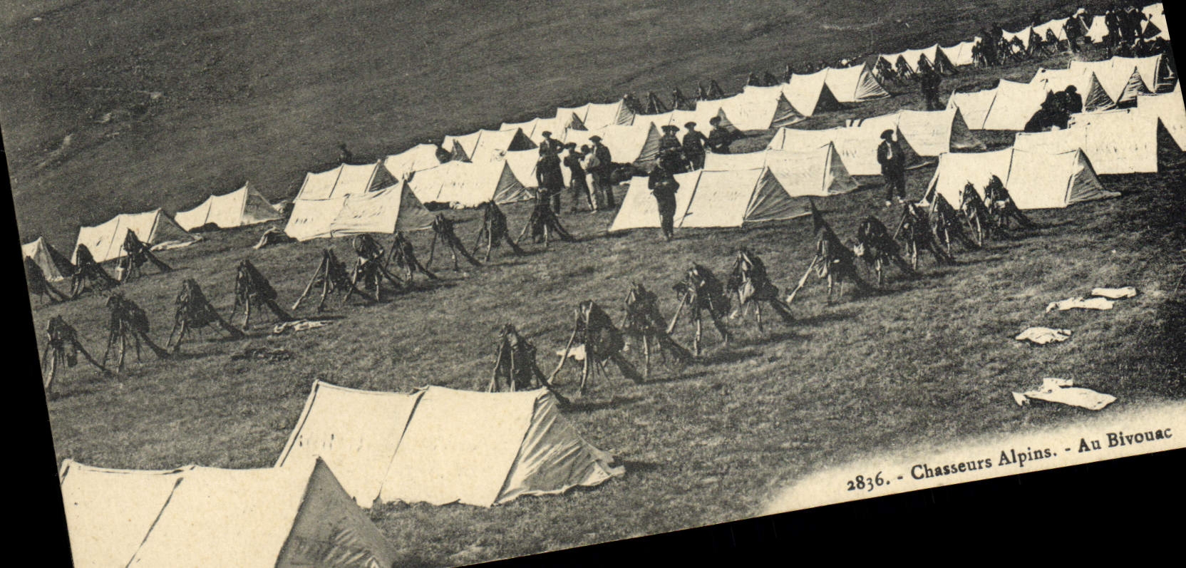 CPA Militaria Chasseurs alpins Au bivouac