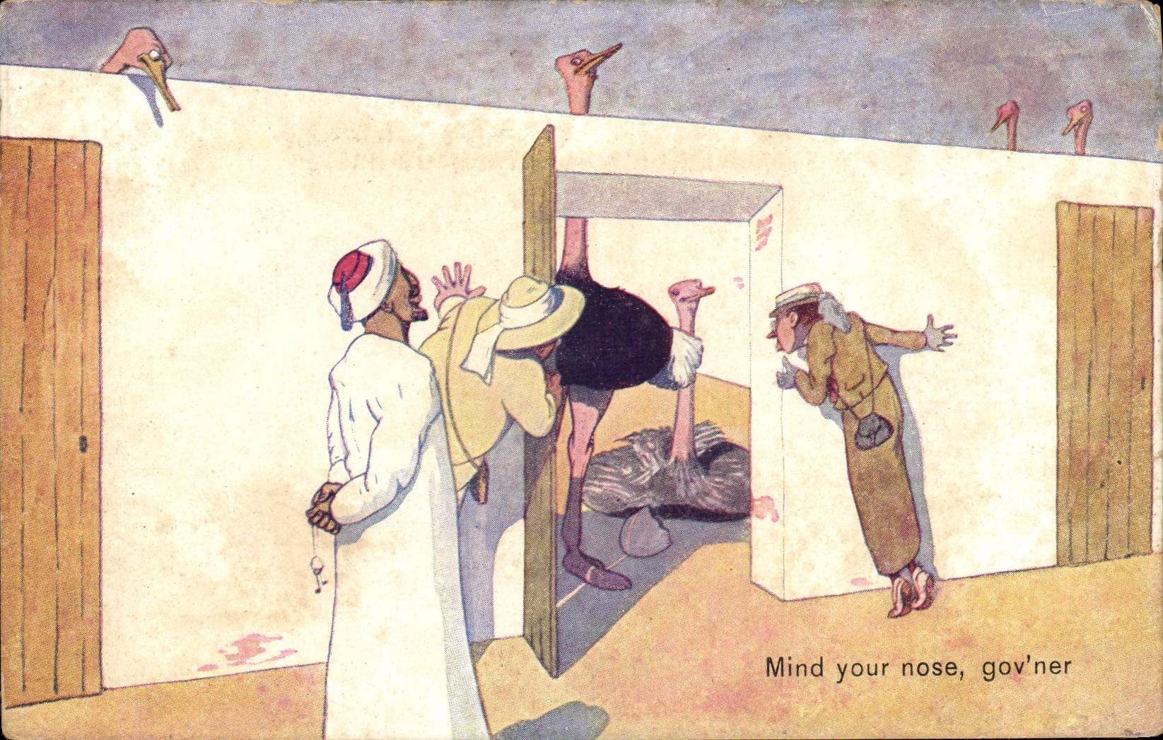 CPA Mind your noses Autruche 
