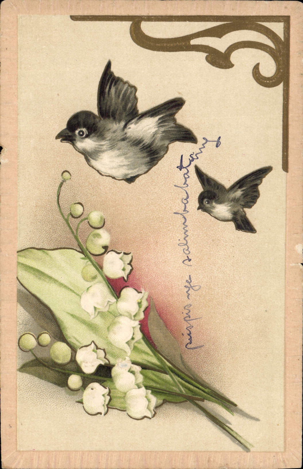 CPA Oiseaux Muguet 