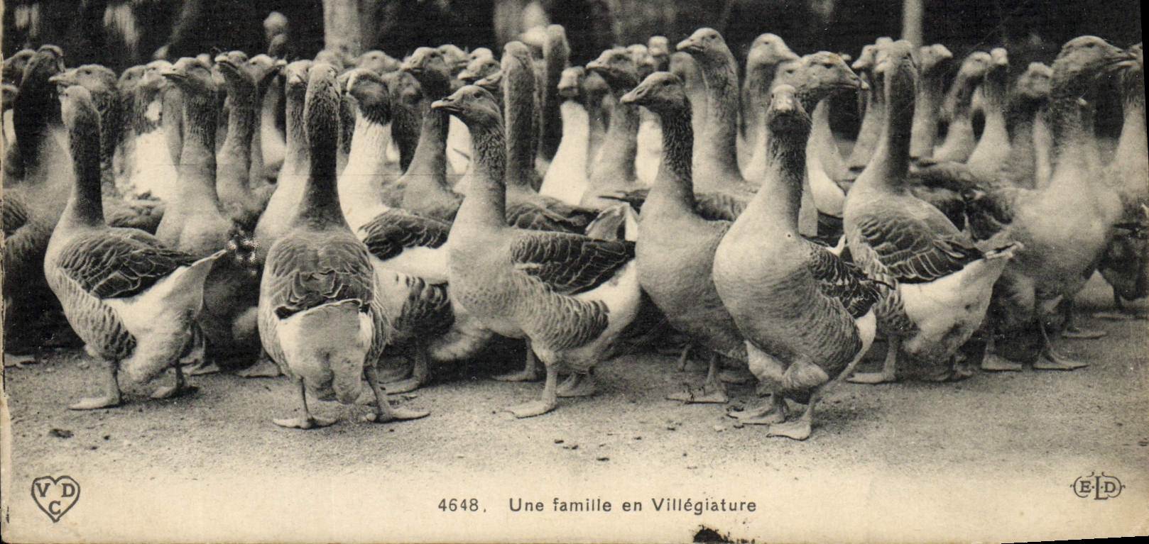 CPA Oies Une famille en villegiature 