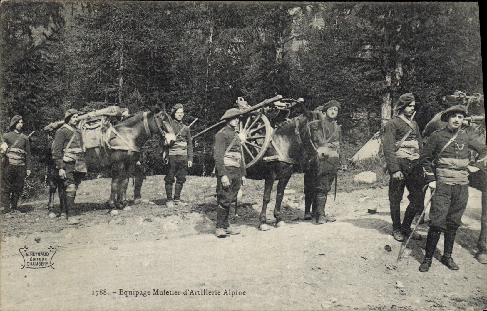 CPA Militaria Chasseurs Alpins Equipage muletier d'artillerie alpine