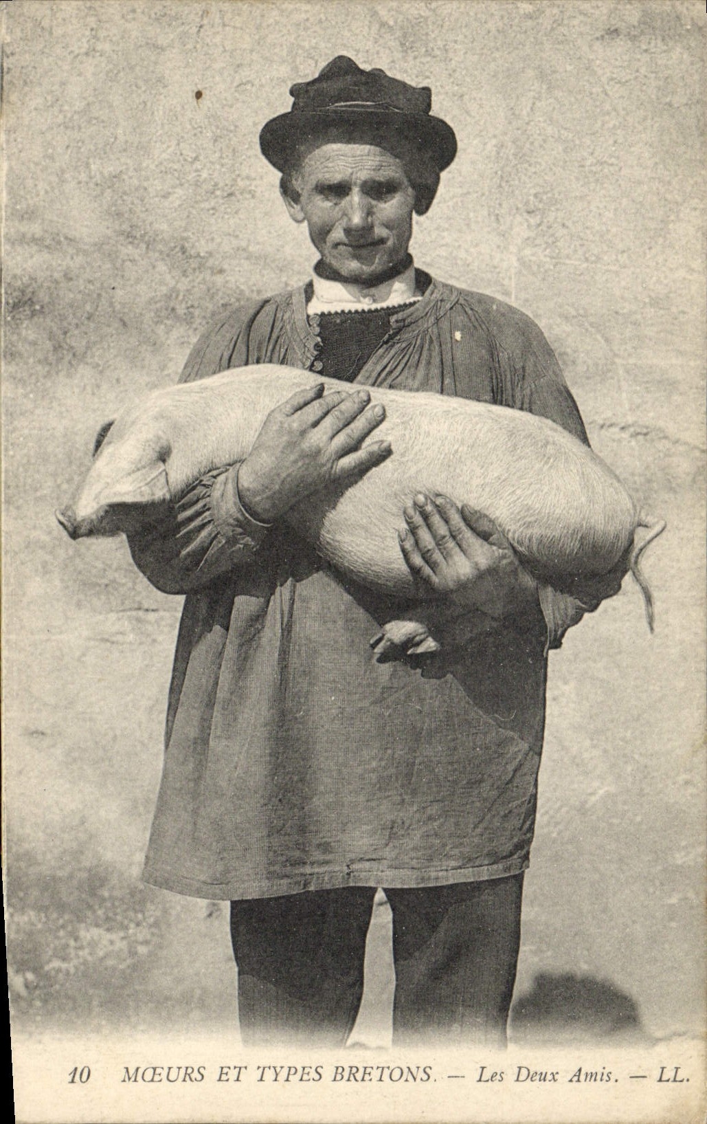 CPA Cochon Porc Les deux amis