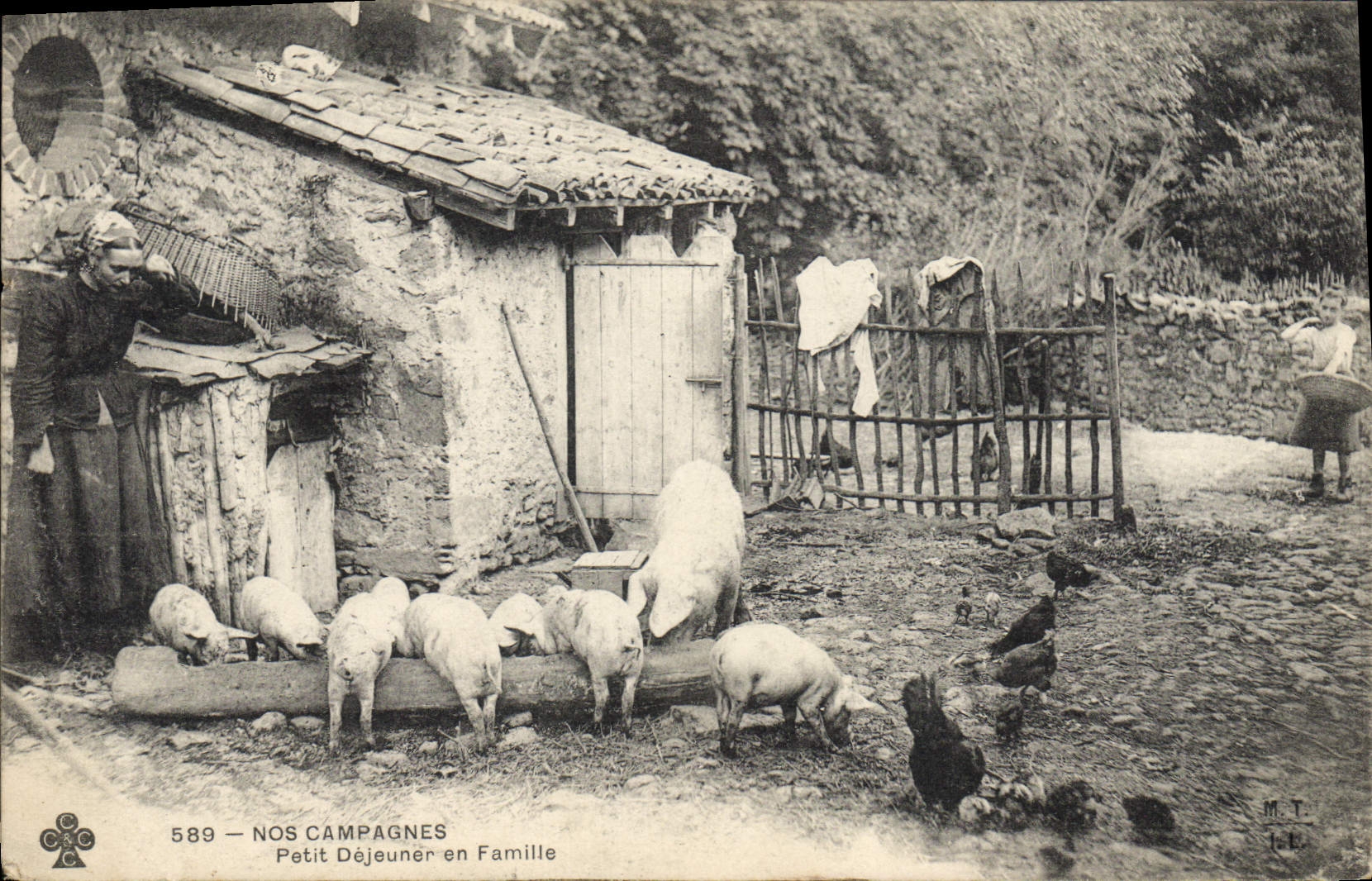 CPA Cochon Porc Petit dejeuner en famille