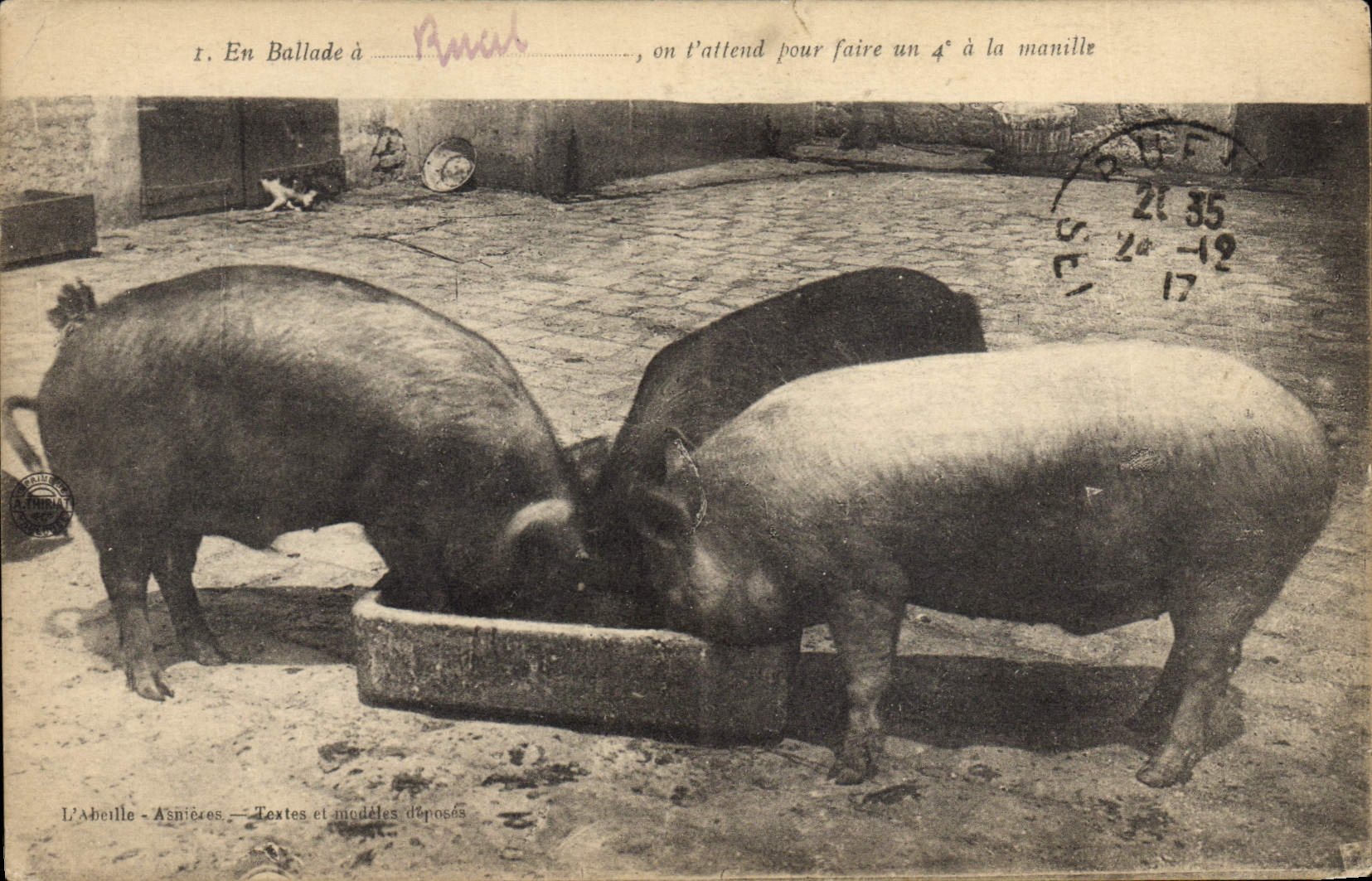 CPA Cochon Porc En ballade