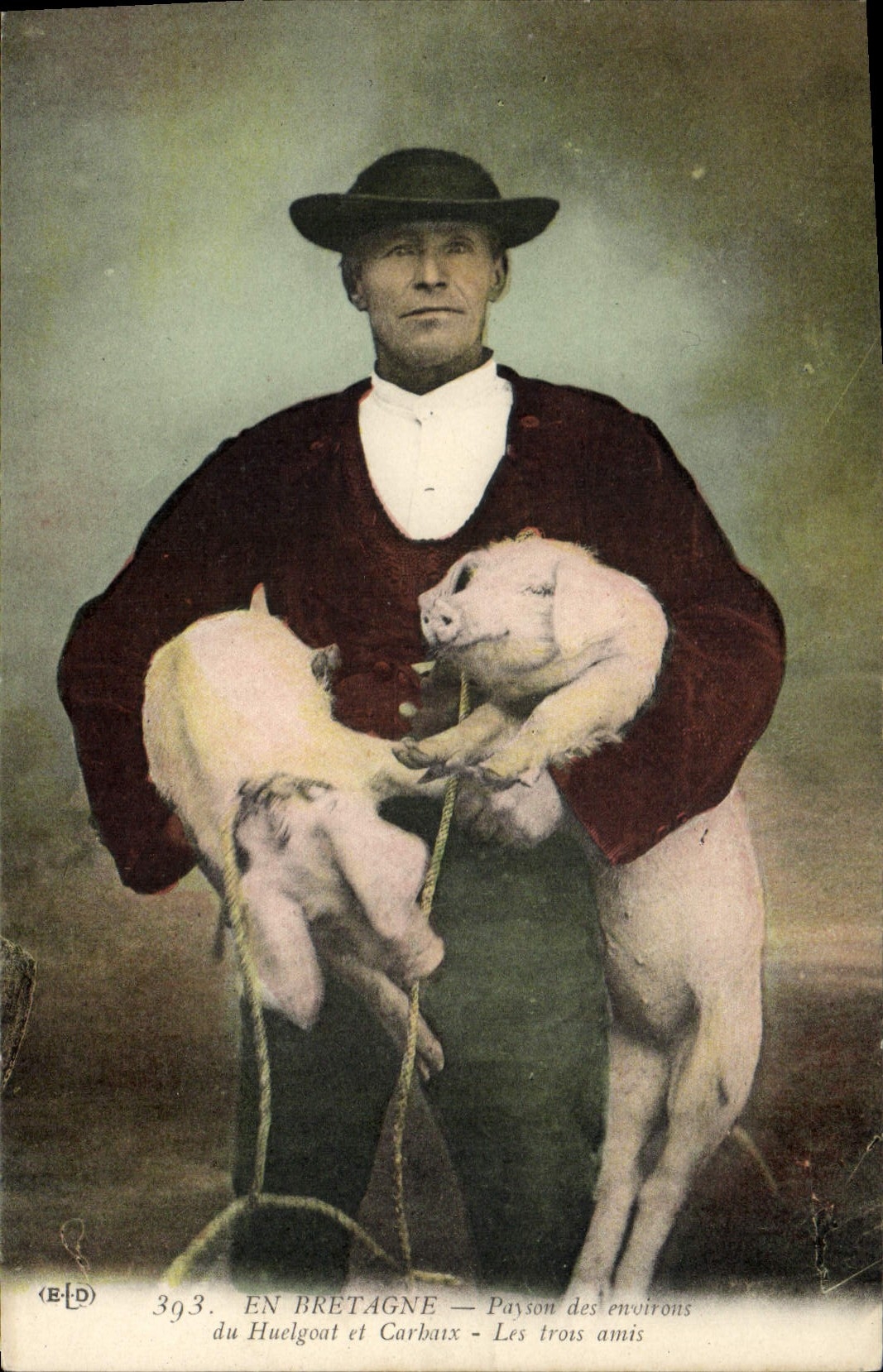 CPA Cochon Porc Bretagne Paysan des environs du Huelgoat et Carhaix Les tros amis Folklore