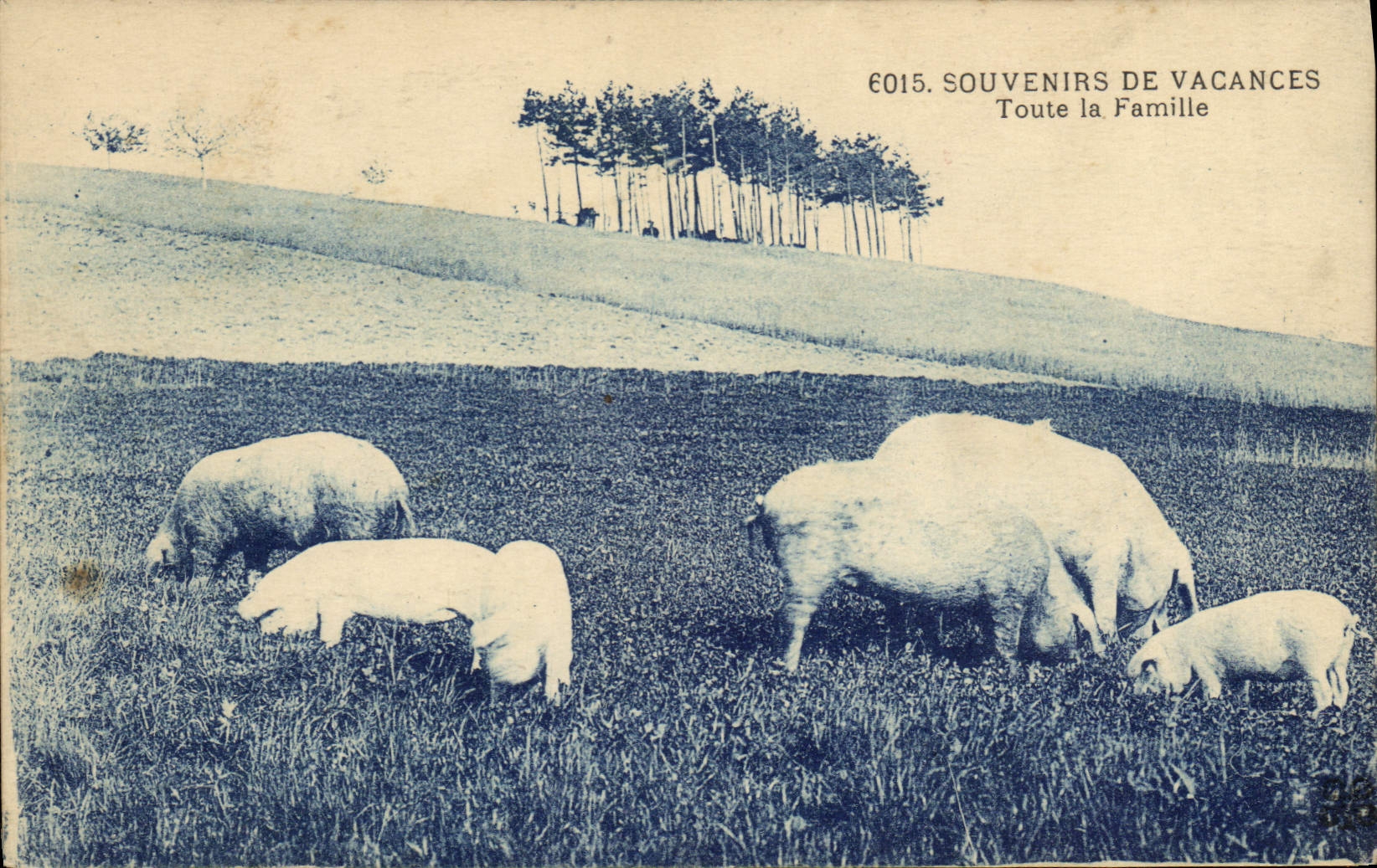CPA Cochon Porc Toute la famille 
