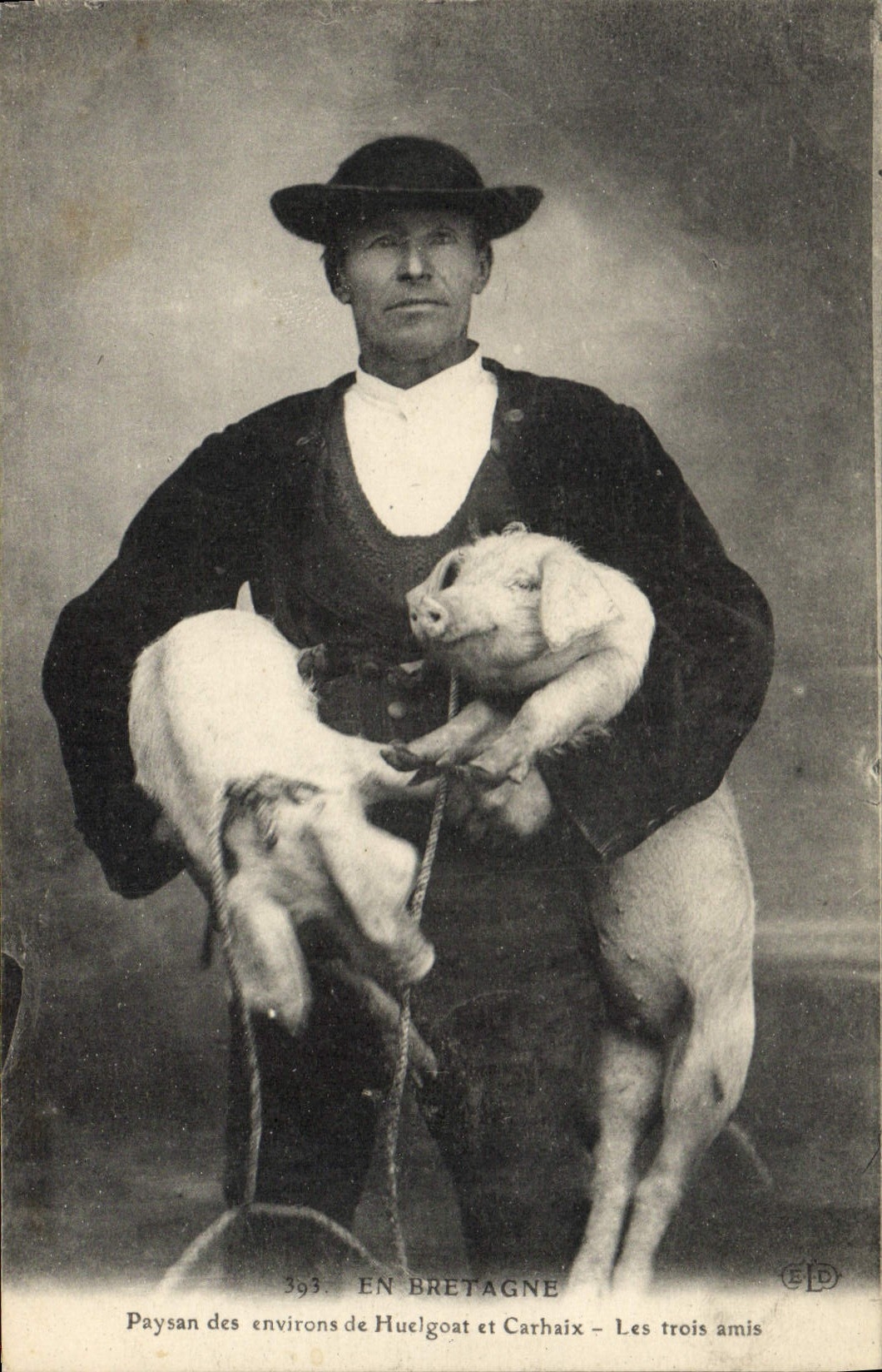 CPA Cochon Porc Bretagne Paysan des environs de Huelgoat et Carhaix Les trous amis