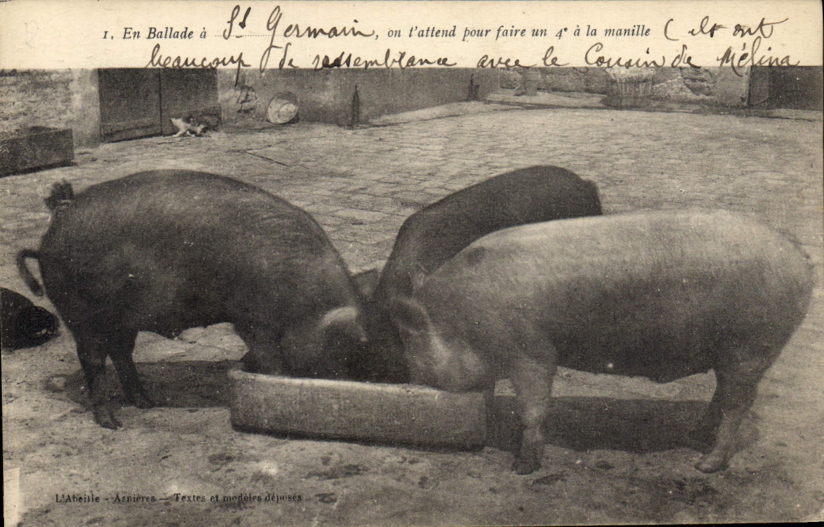 CPA Cochon Porc En ballade a St Germain