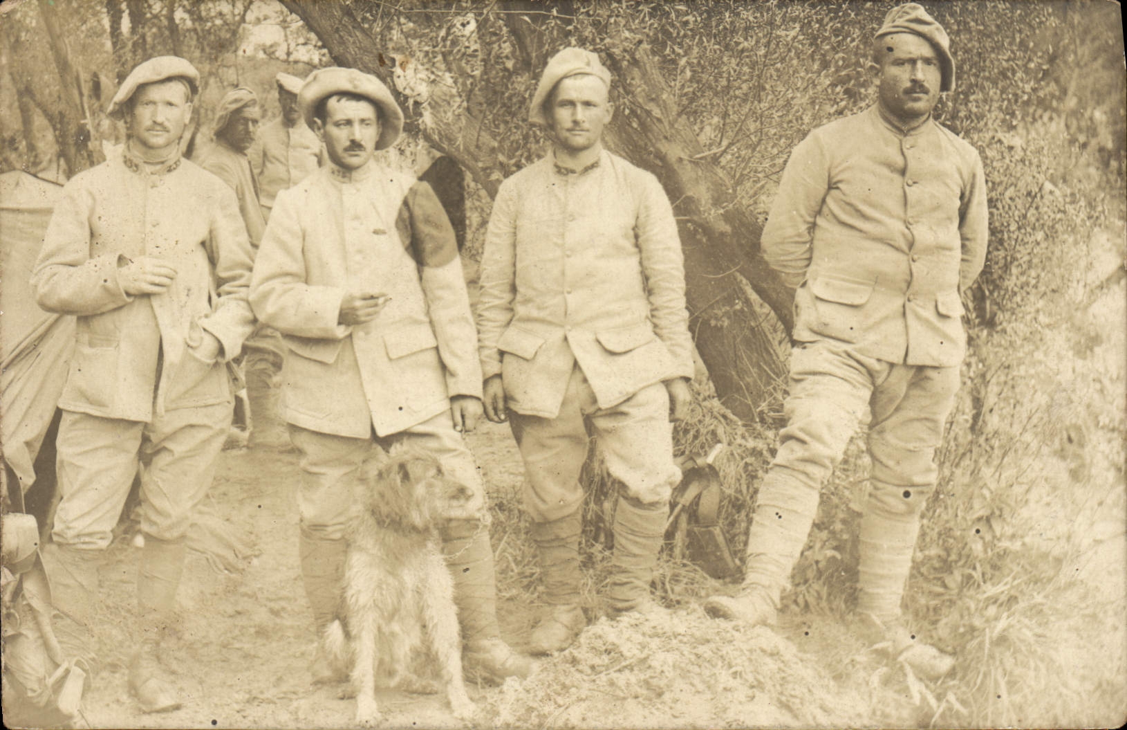 CARTE PHOTO Militaria Chasseurs Alpins (n°235 sur le col) chien