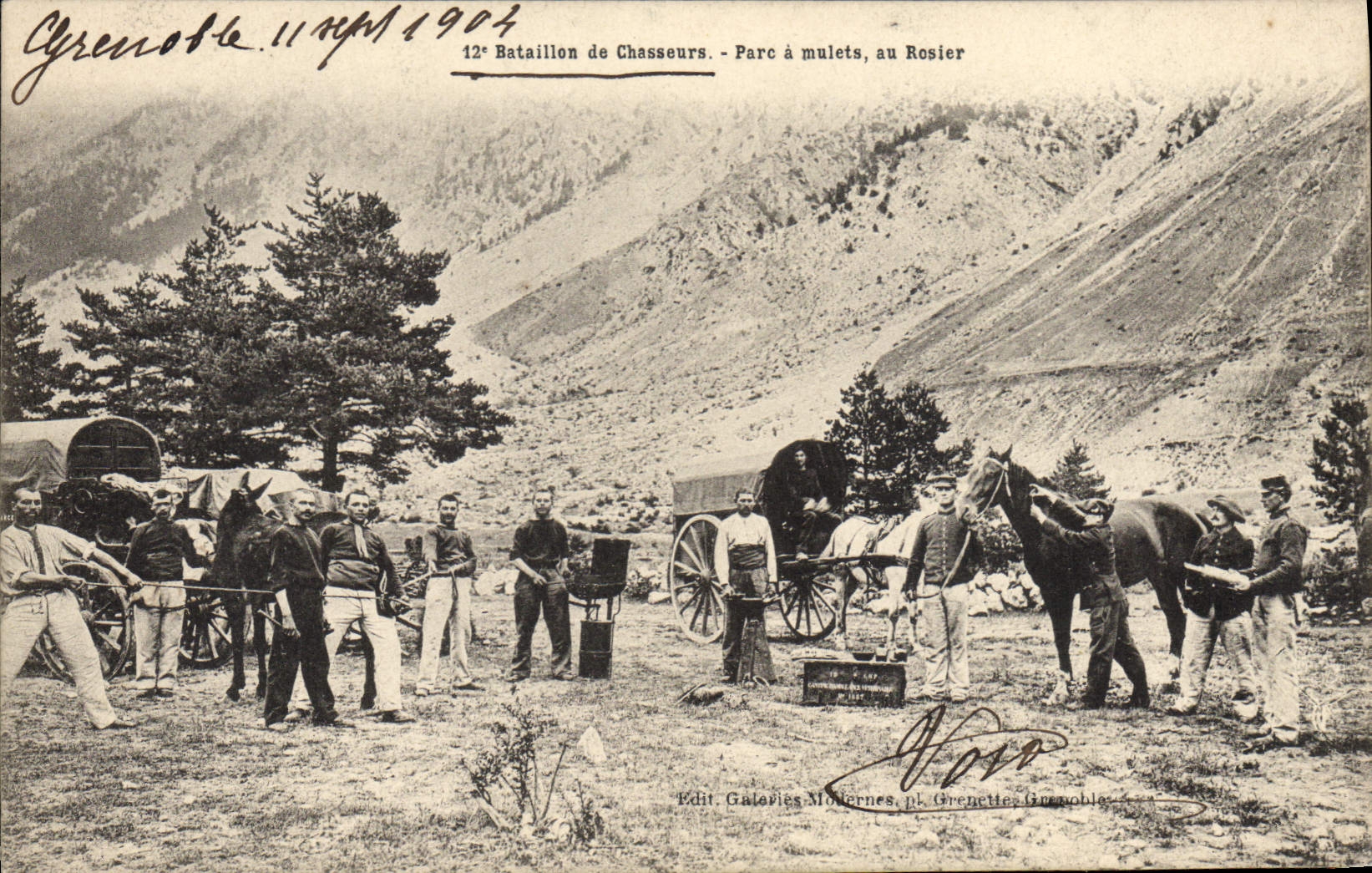 CPA Militaria Chasseurs Alpins 12eme bataillon de chasseurs Parc a mulets au rosier