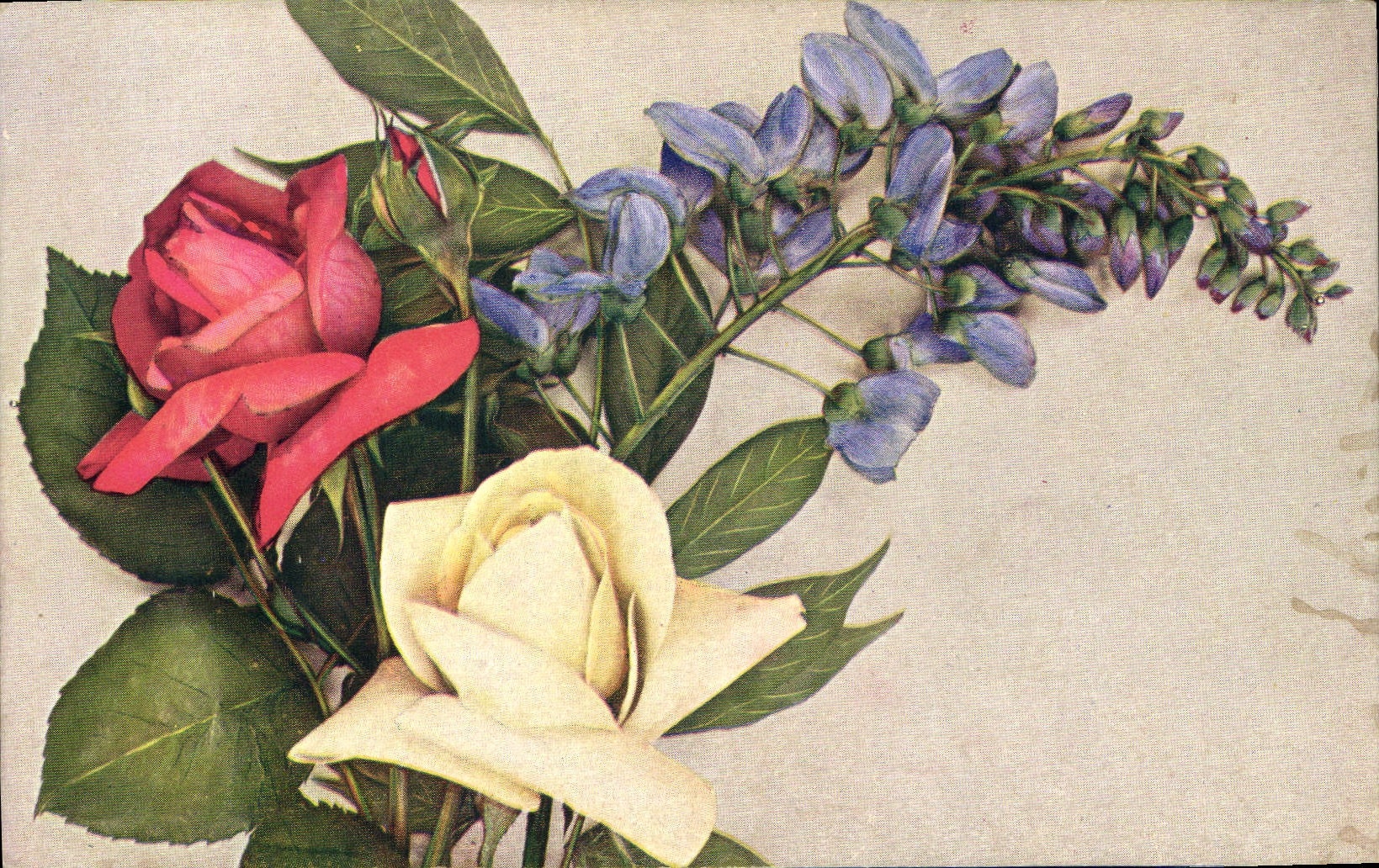 CPA Fantaisie Fleurs 