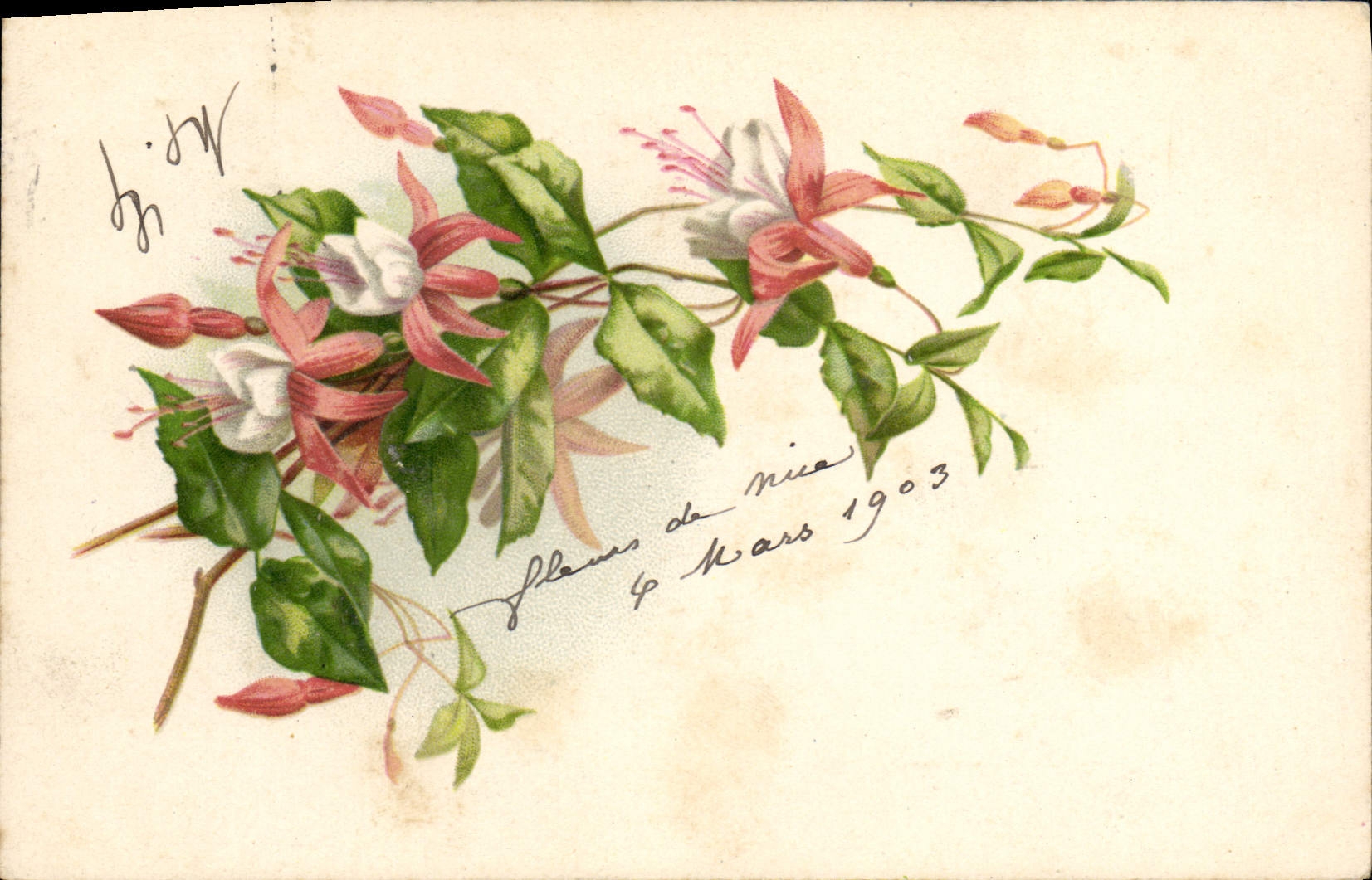 CPA Fantaisie Fleurs 