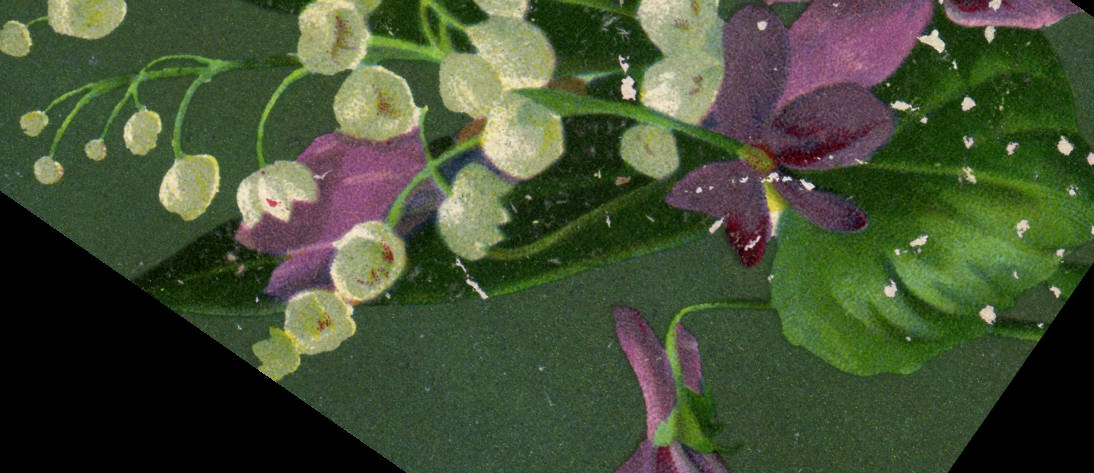 CPA Fantaisie Fleurs Muguet