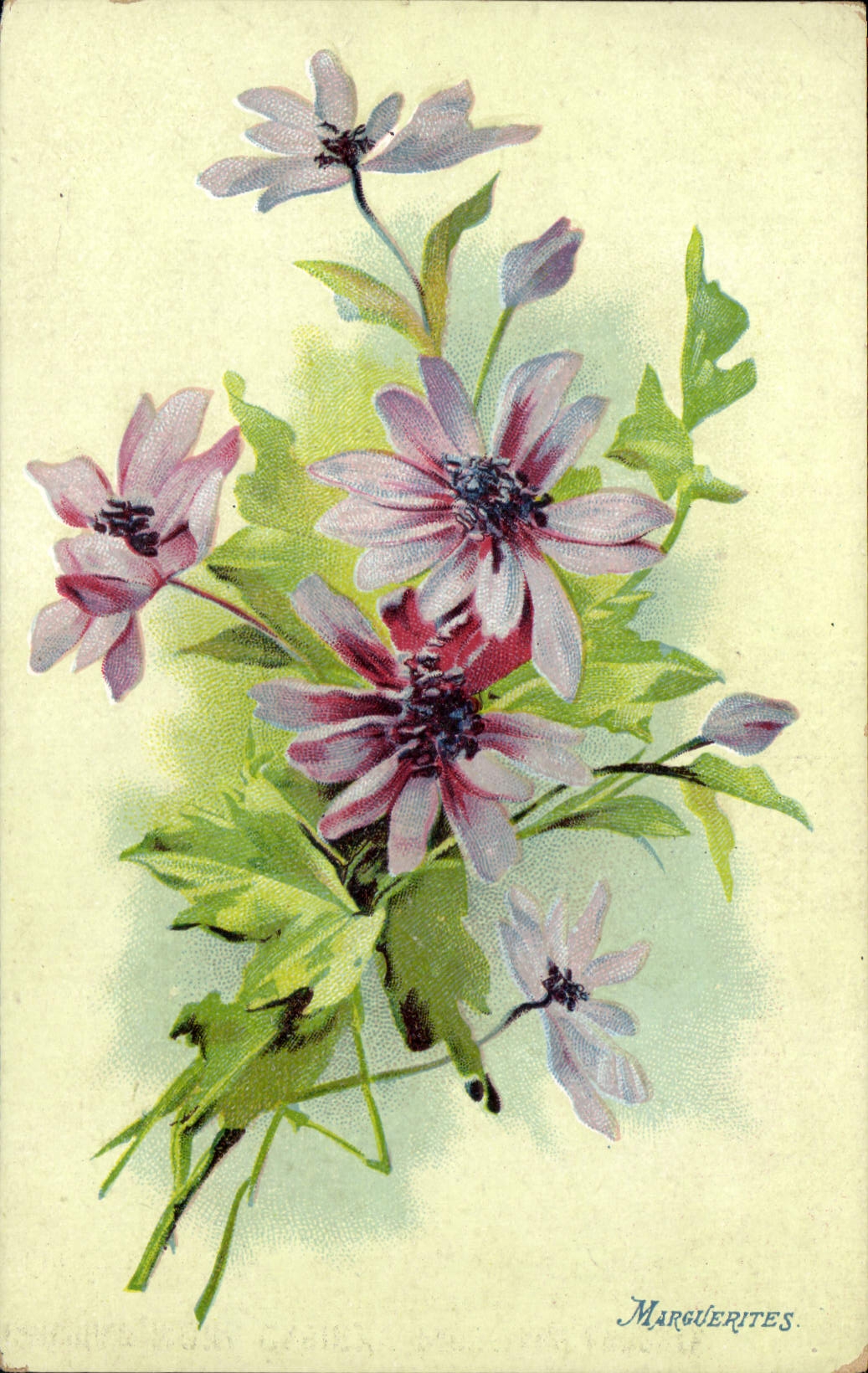 CPA Fantaisie Fleurs Marguerites