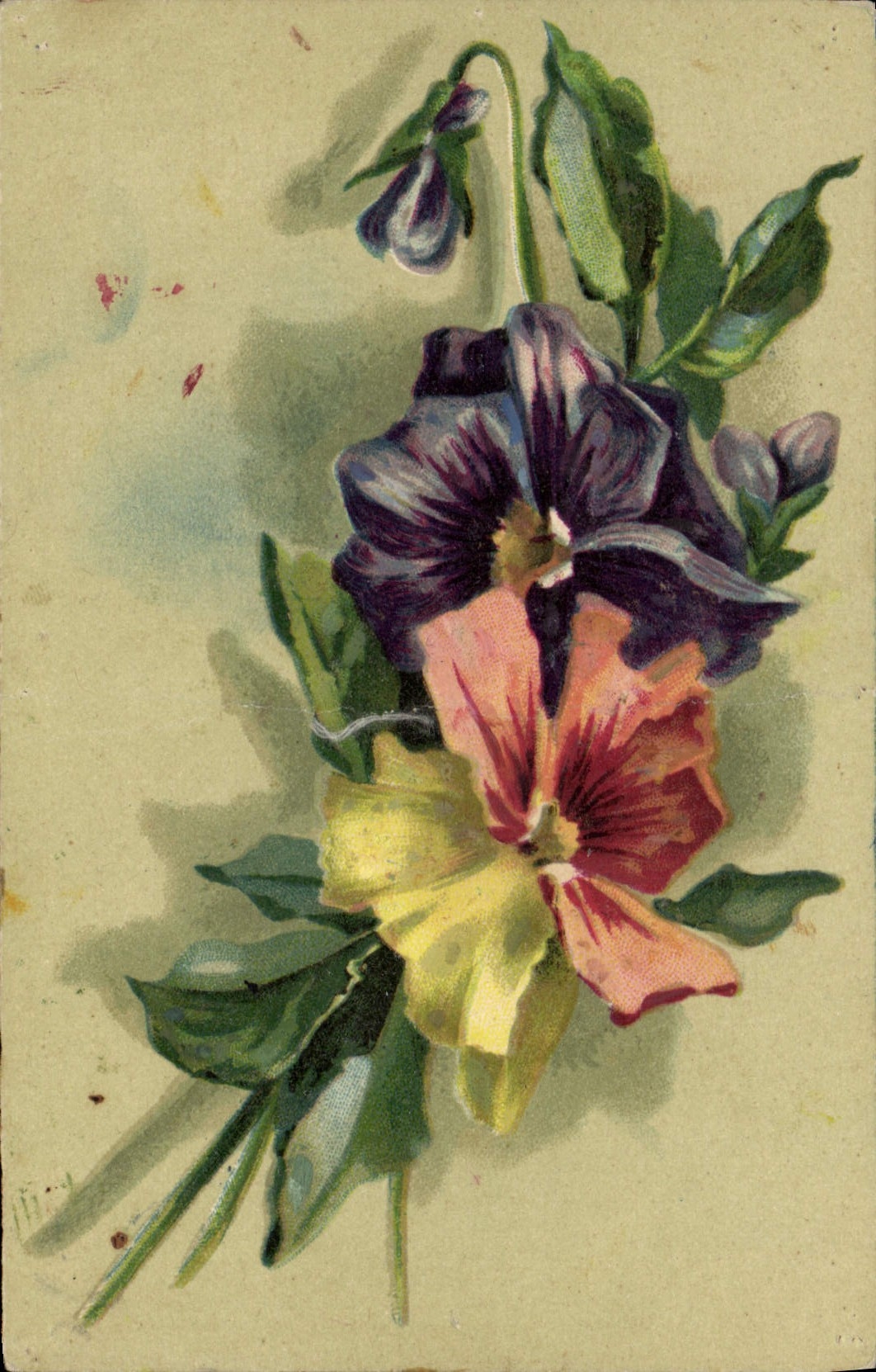 CPA Fantaisie Fleurs 