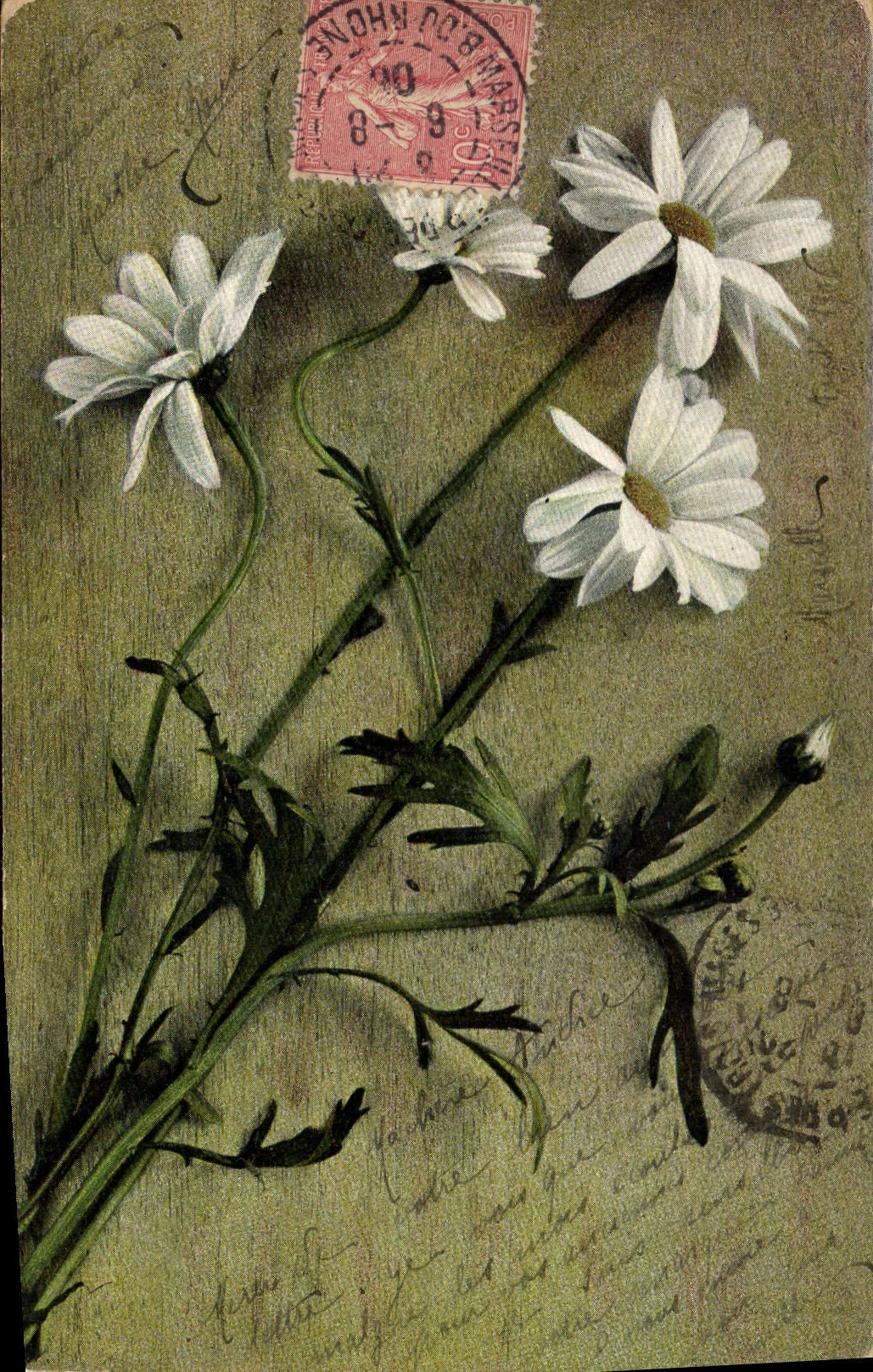 CPA Fantaisie Fleurs 