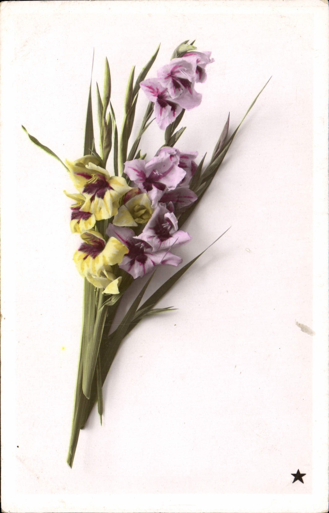 CPA Fantaisie Fleurs 