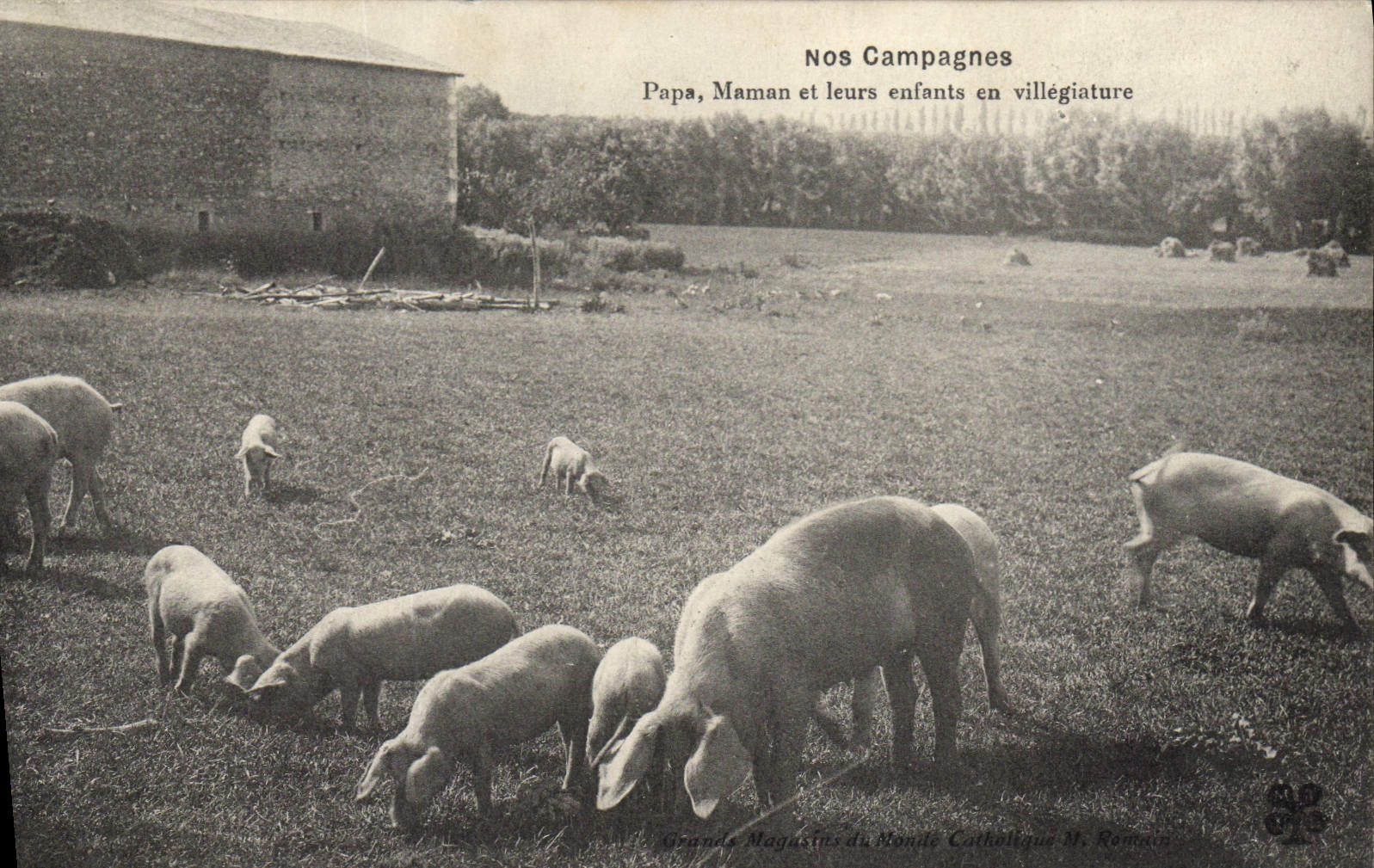 CPA Cochon Porc Nos campagnes Papa Maman et leurs enfants en villegiature