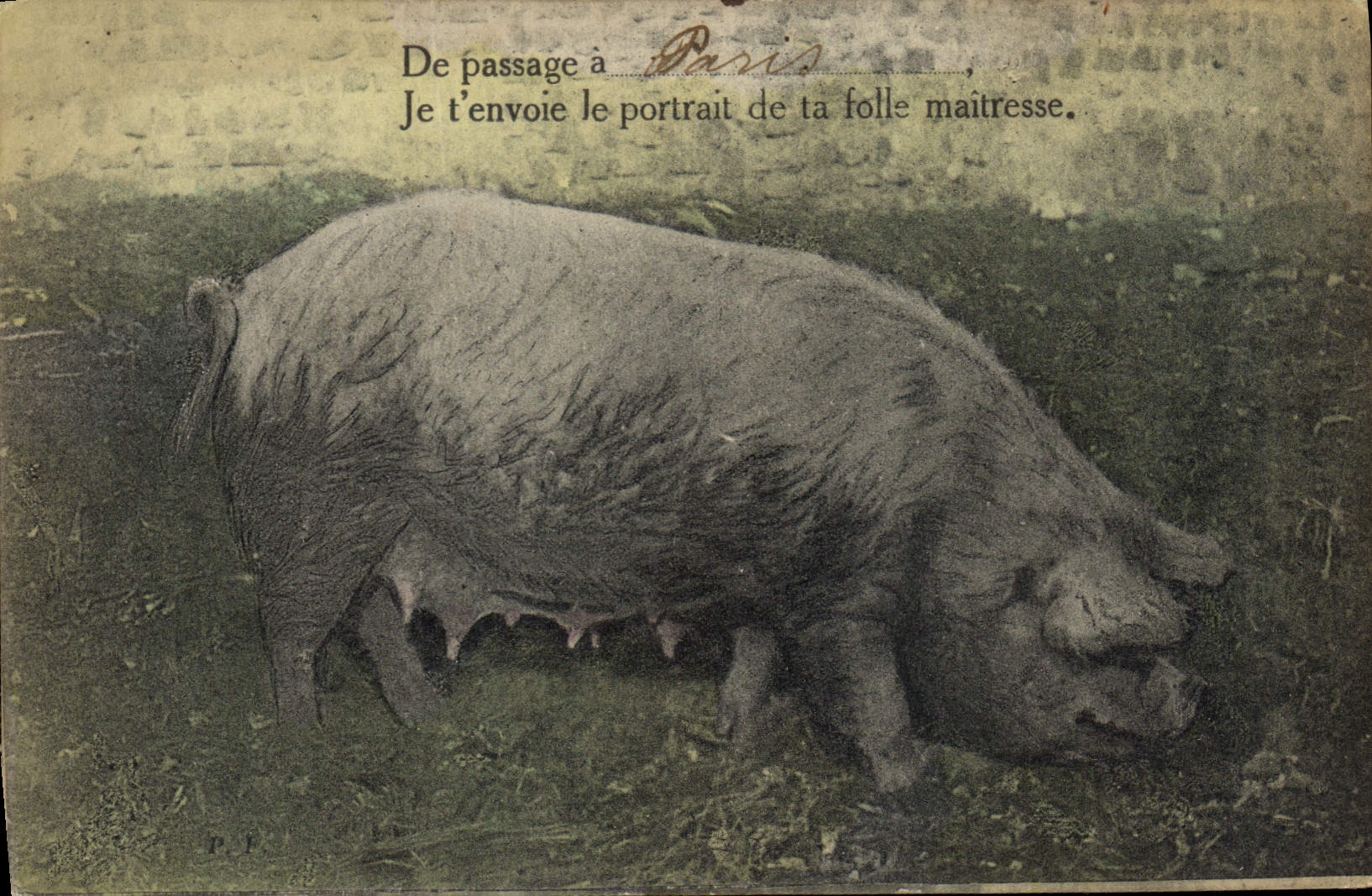 CPA Cochon Porc De passage a Paris je t'envoie le portrait de ta folle maitresse