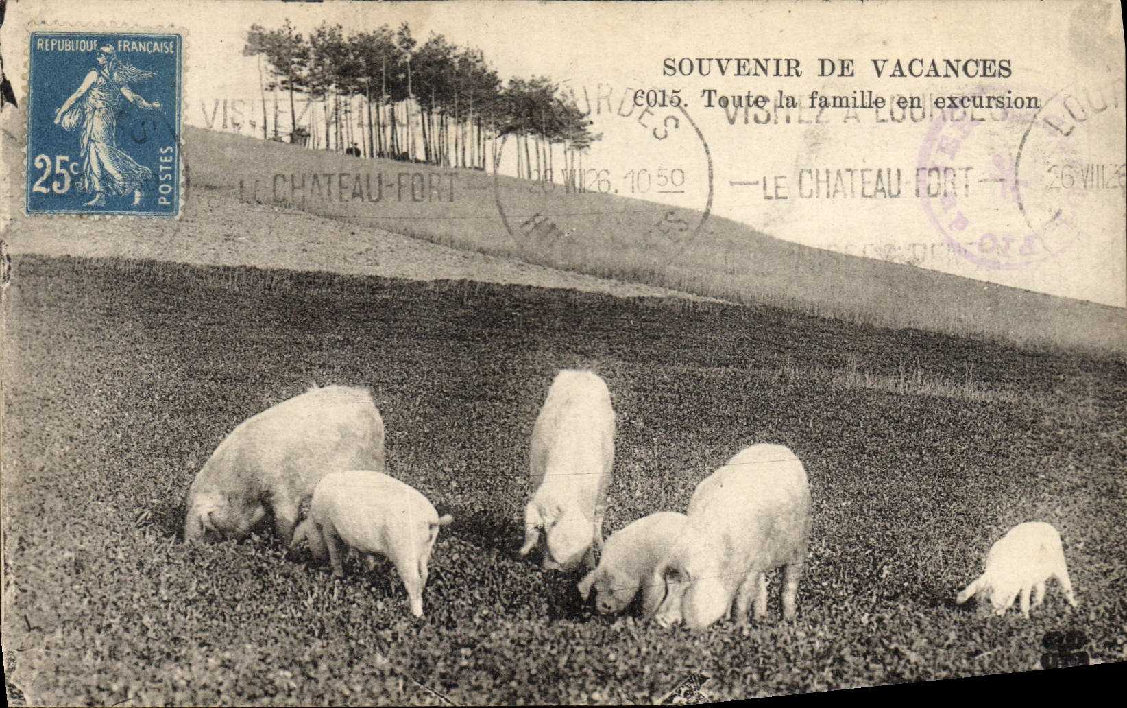 CPA Cochon Porc Toute la famille en excursion