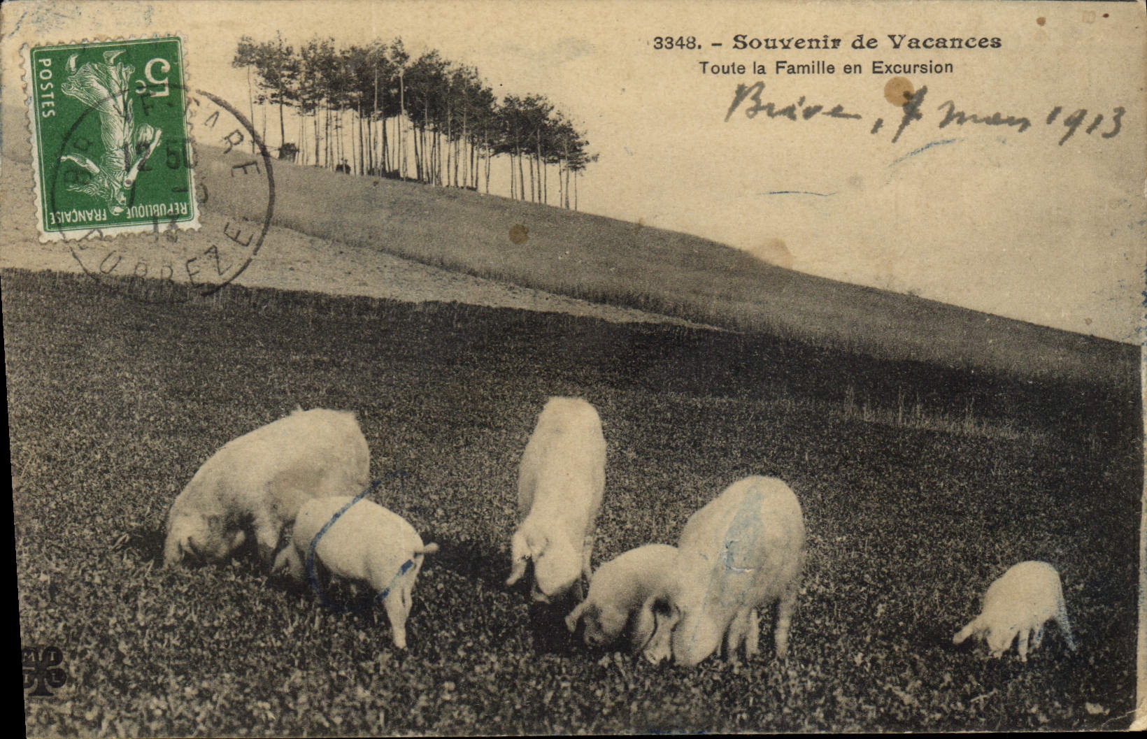 CPA Cochon Porc Toute la famille en excursion