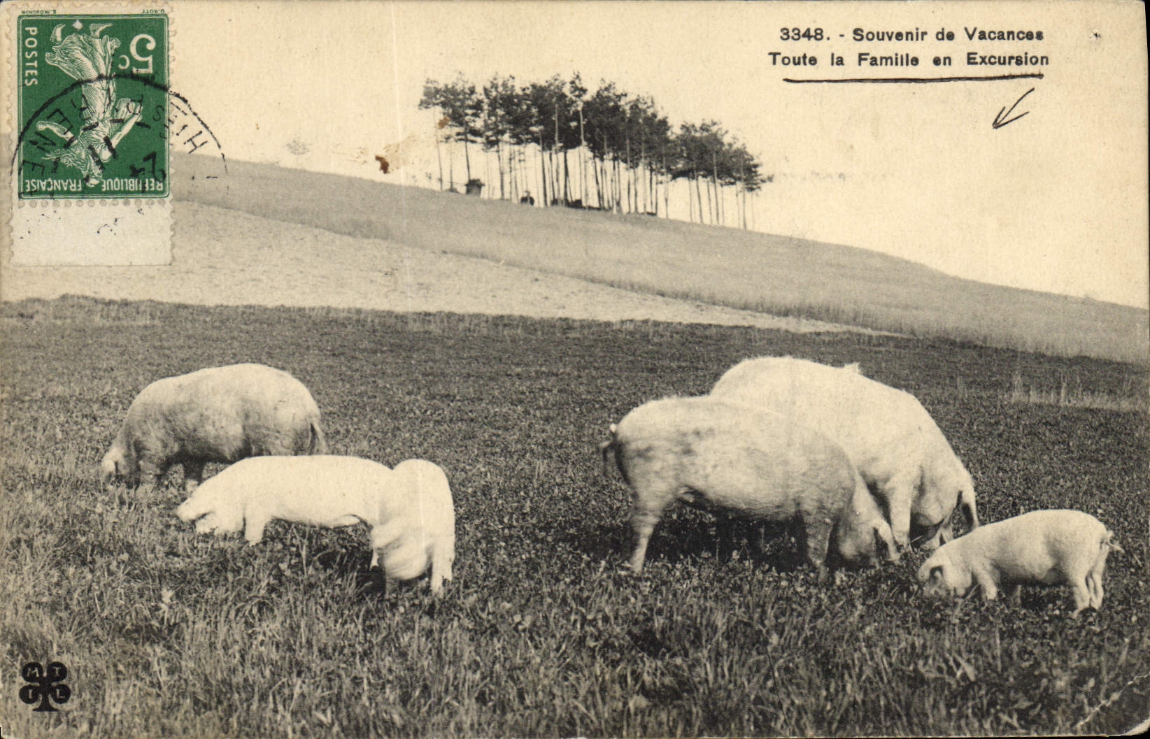 CPA Cochon Porc Toute la famille en excursion
