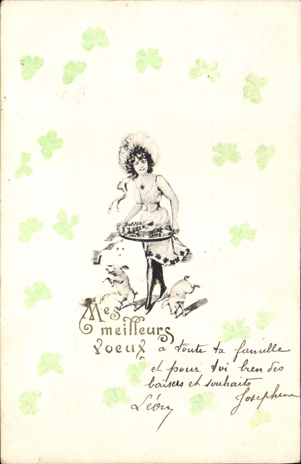 Vintage Postcard Pig Pig Woman