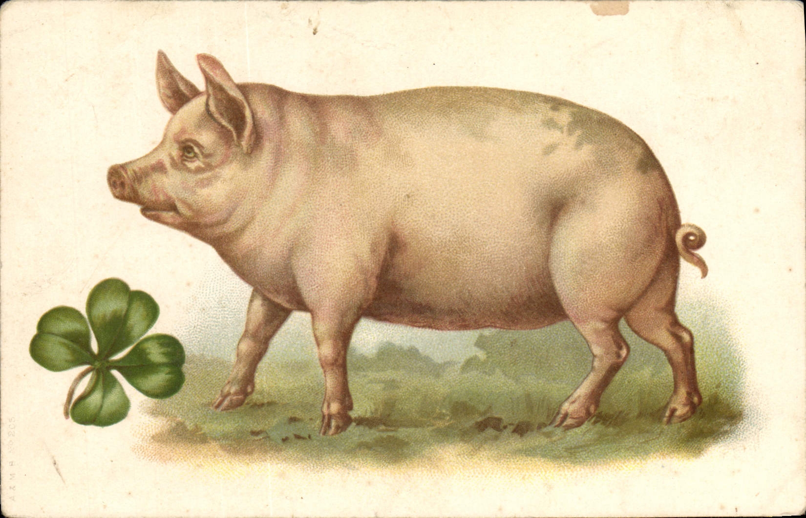 CPA Cochon Porc Trefle