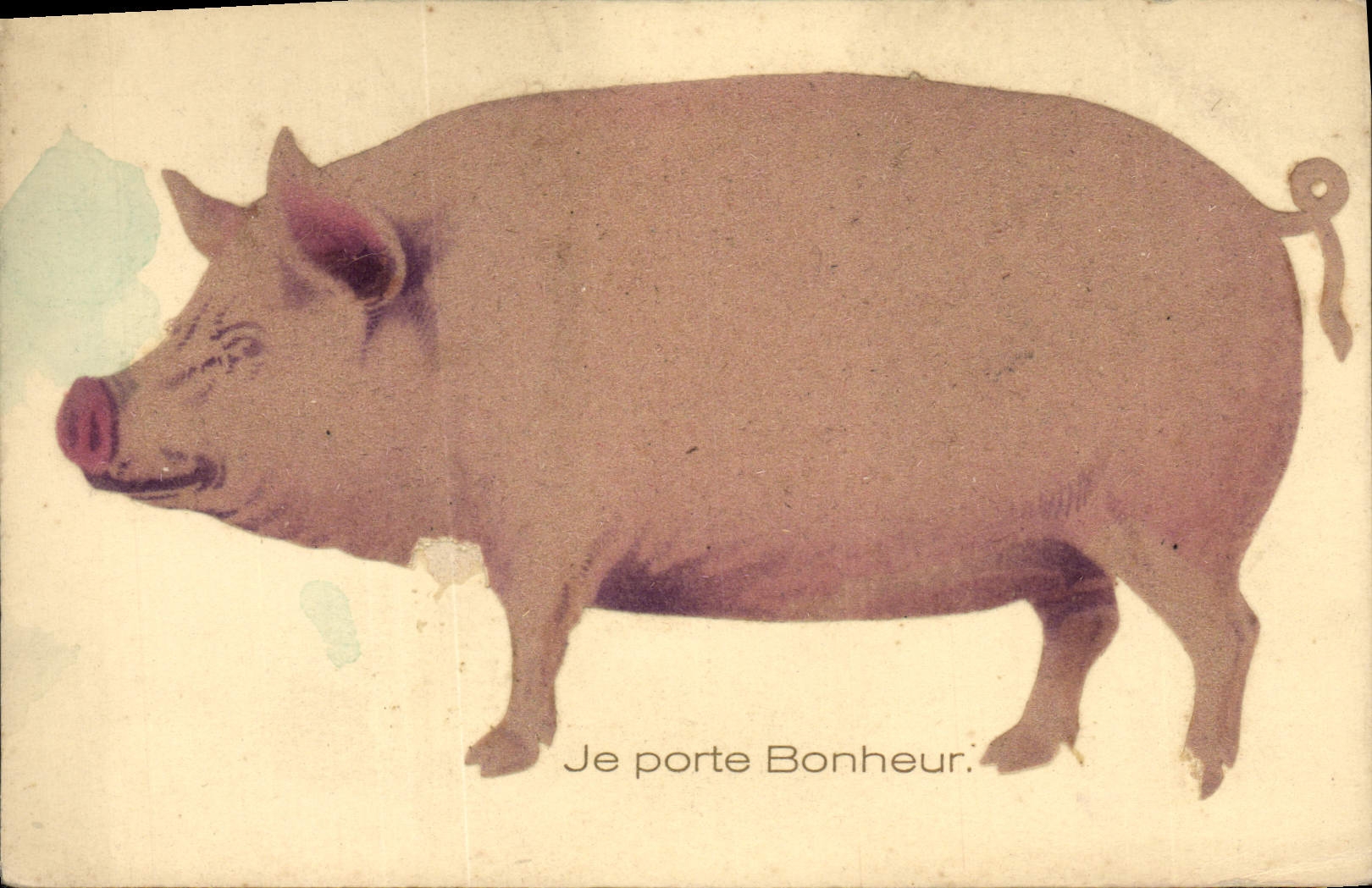 Vintage Postcard Cochon Pig I carry happiness (pig in relief)