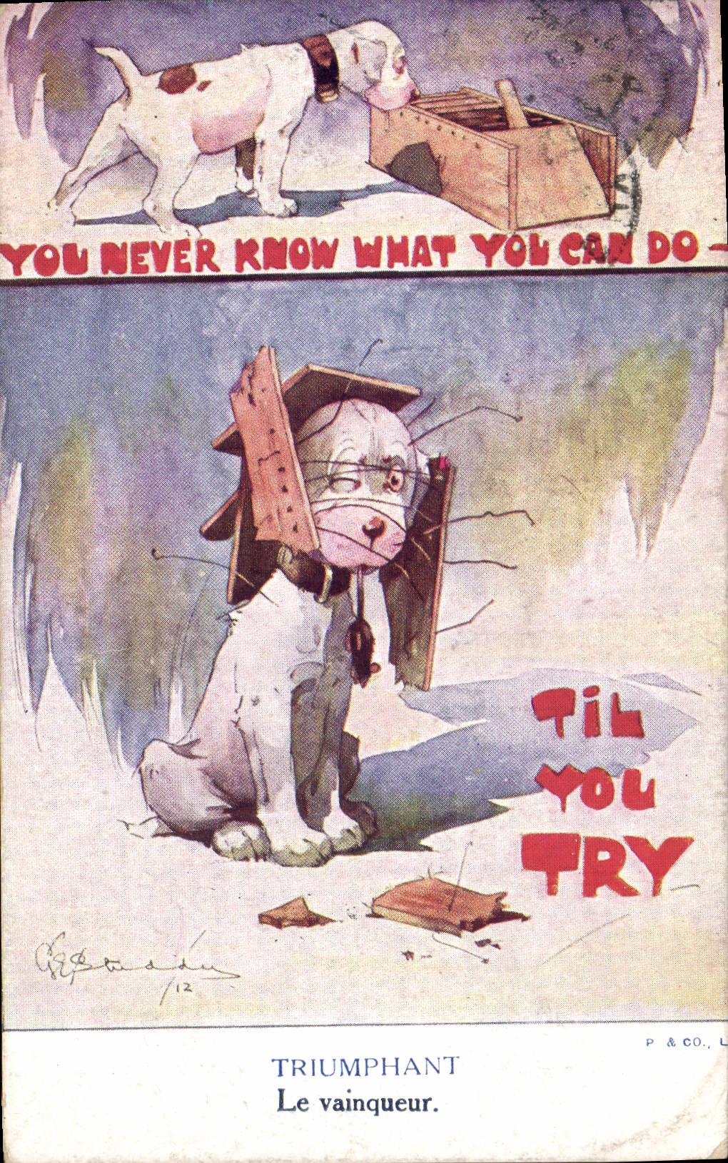 Vintage Postcard Fantasy Illustrator Triumphant Dog