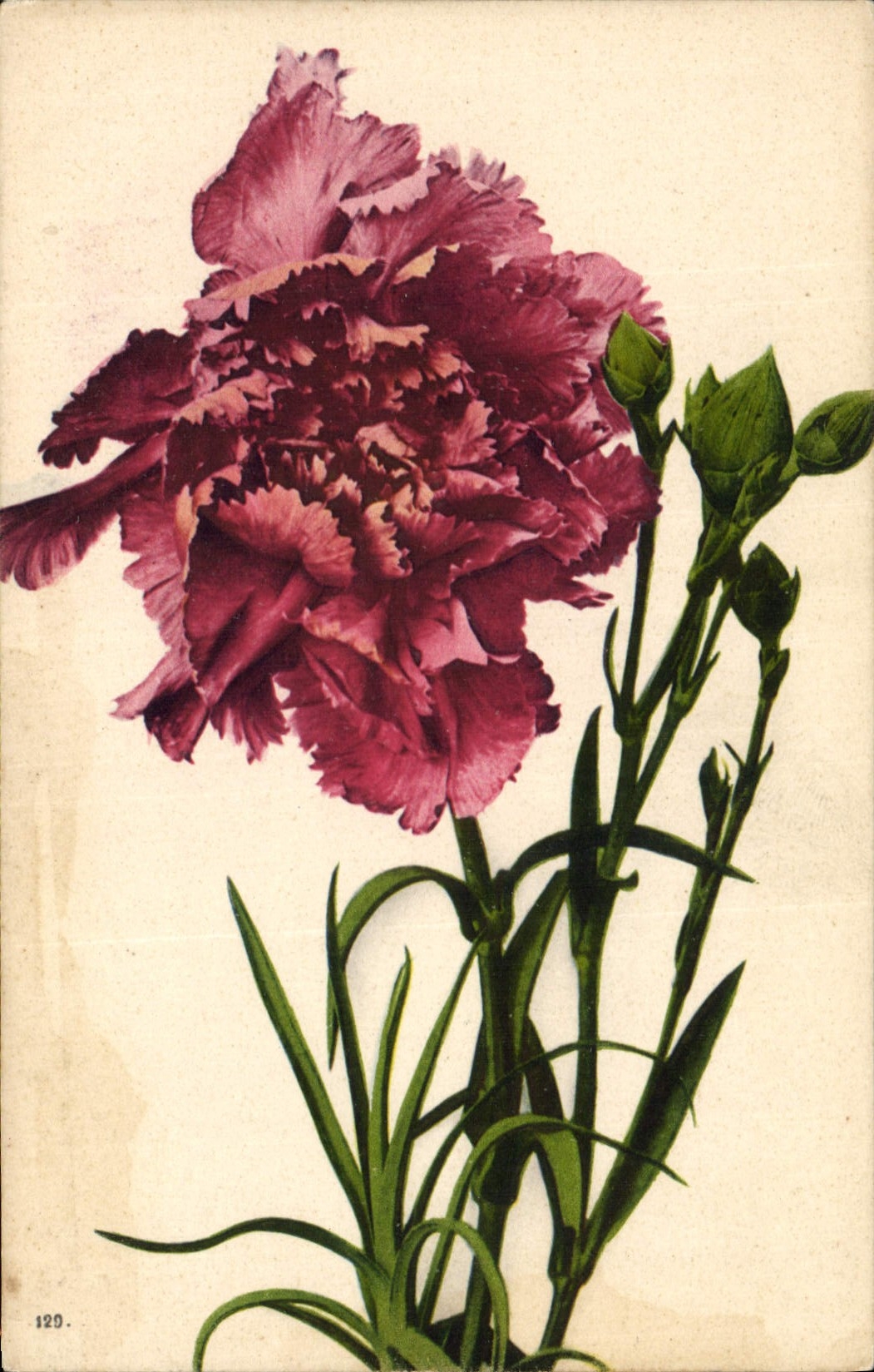 CPA Fantaisie Fleurs 