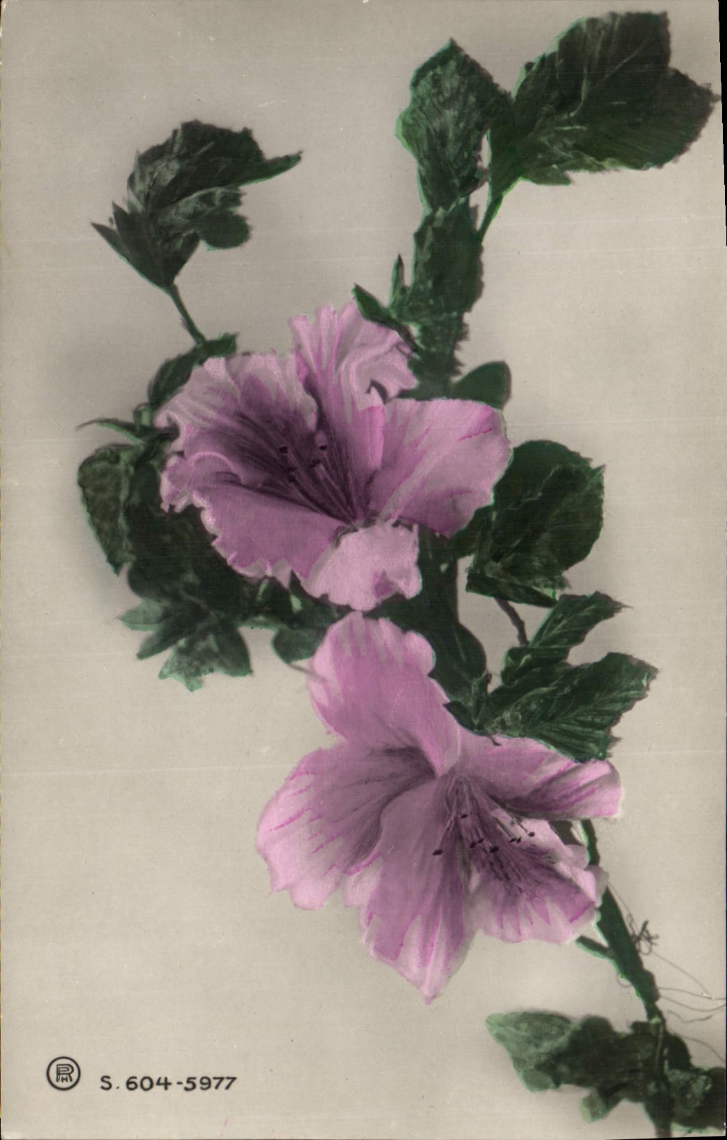 CPA Fantaisie Fleurs 