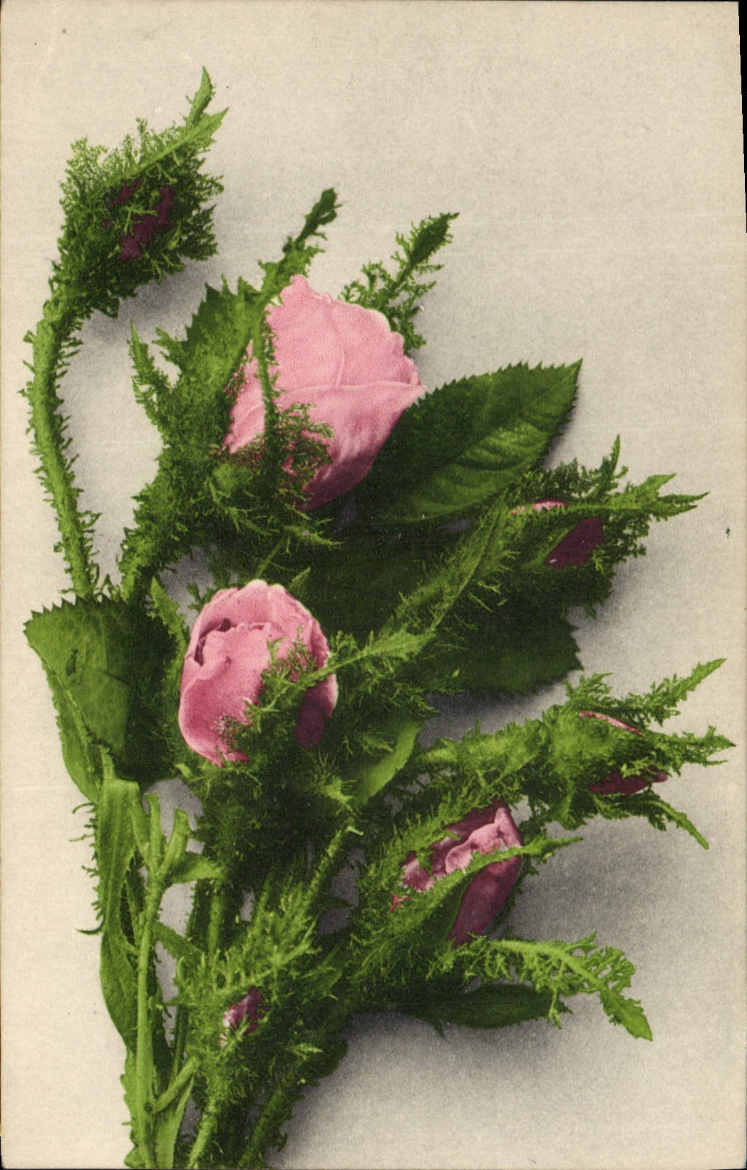 CPA Fantaisie Fleurs 