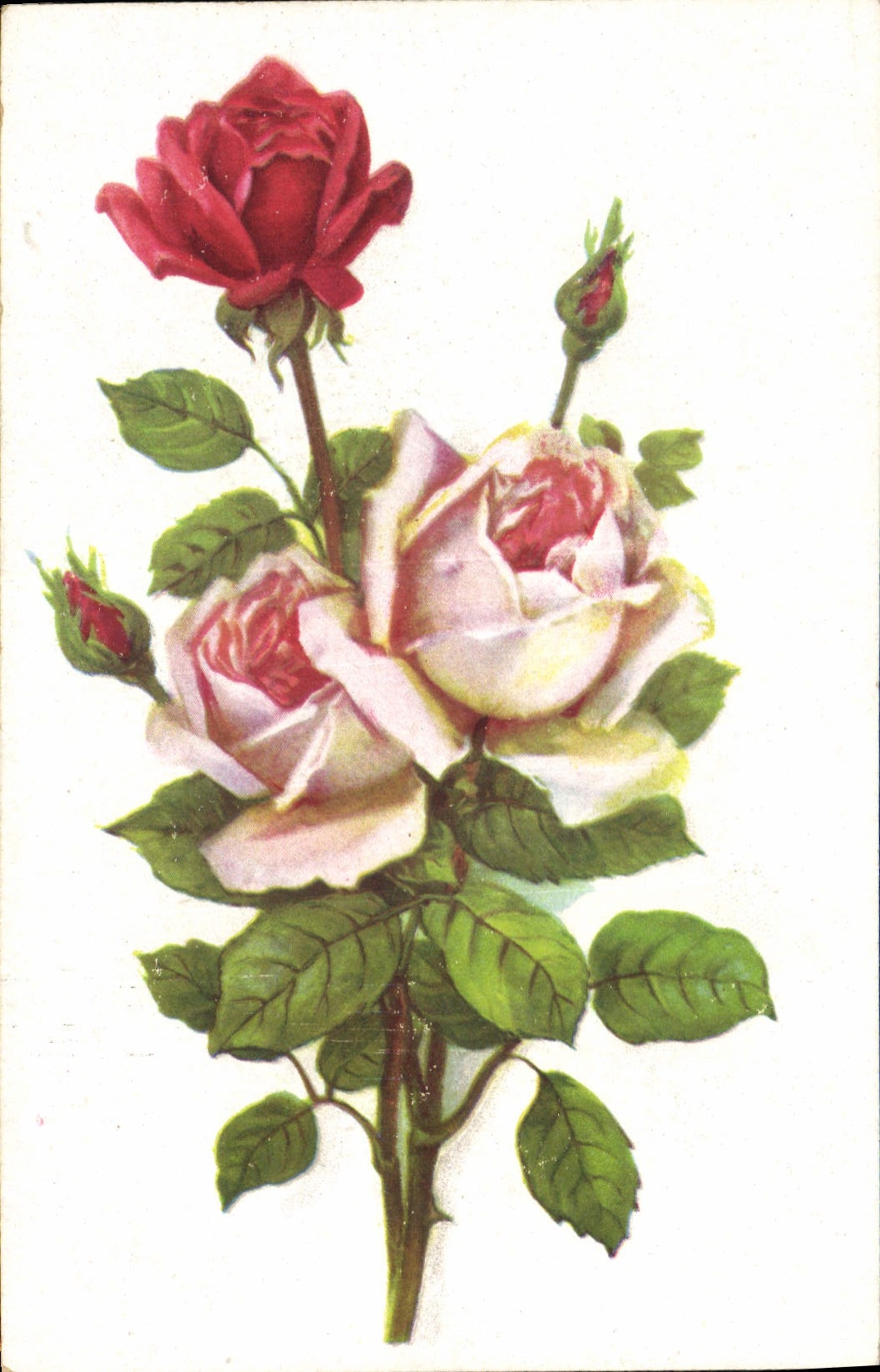 CPA Fantaisie Fleurs 