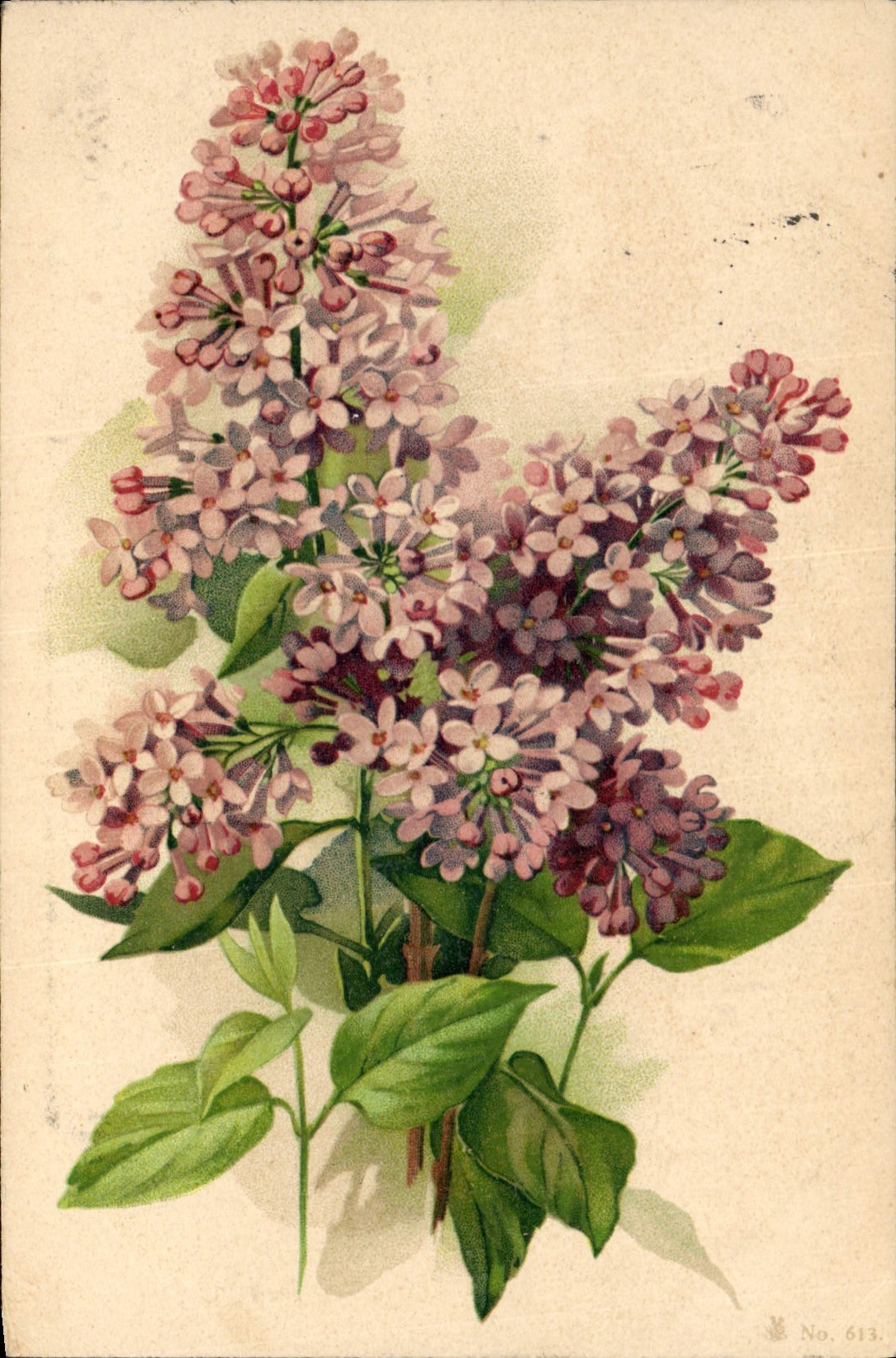 CPA Fantaisie Fleurs 