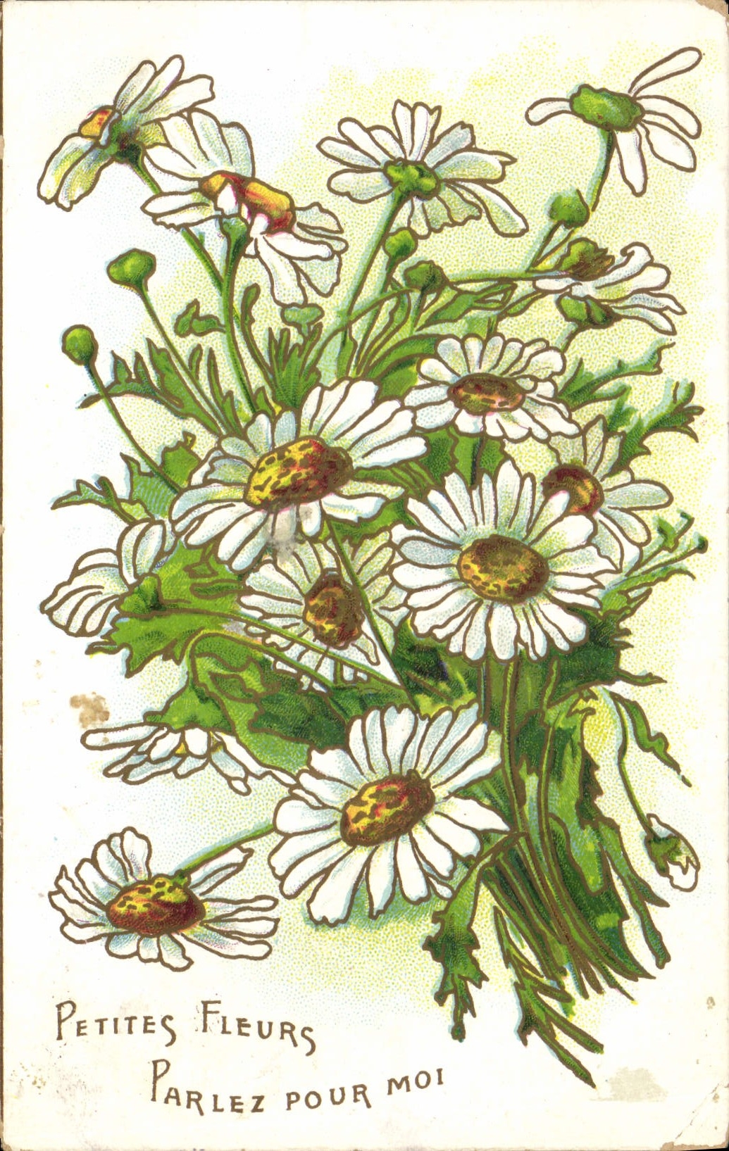 CPA Fantaisie Fleurs 