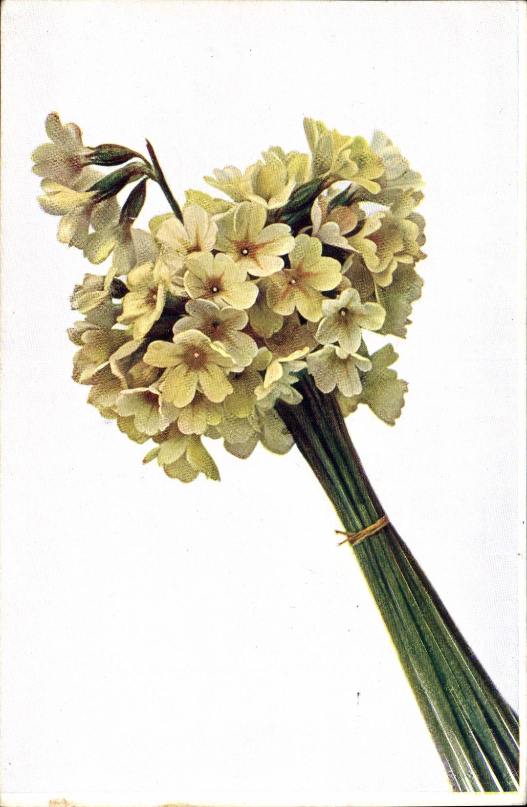 CPA Fantaisie Fleurs 