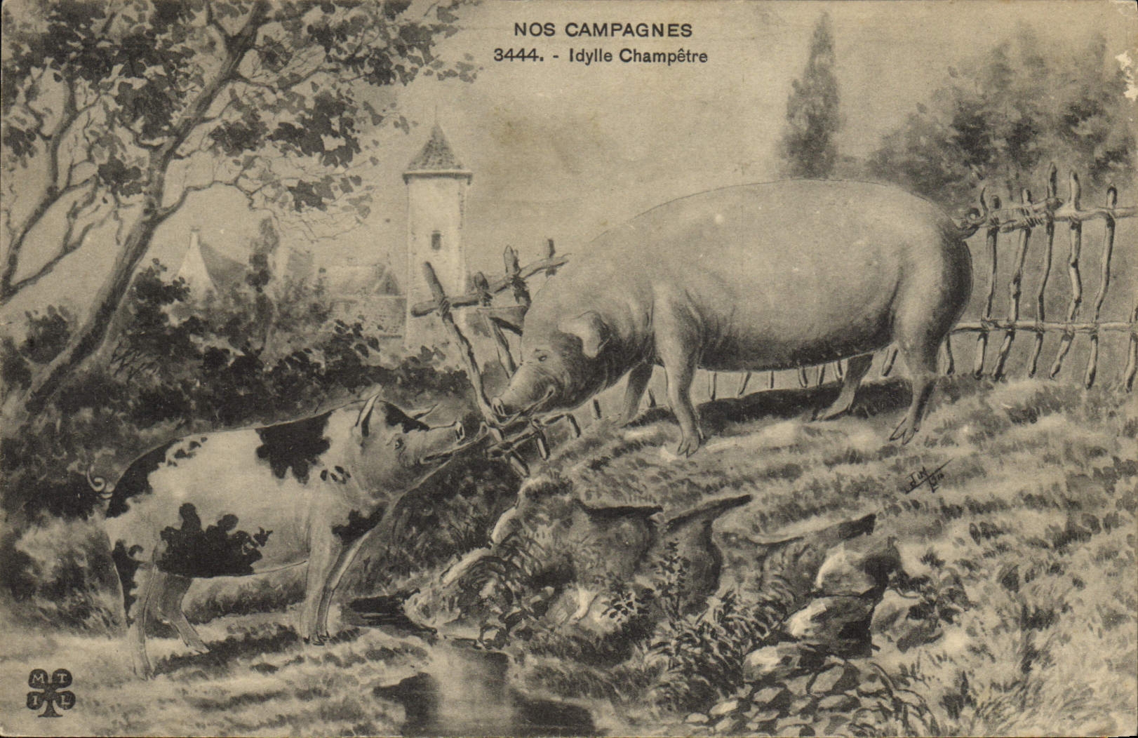 Vintage Postcard Pig pastoral Pig Idyll