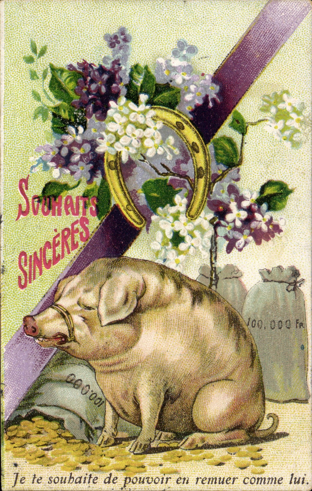 Postal Cerdo Cerdo Hierro tiene caballo