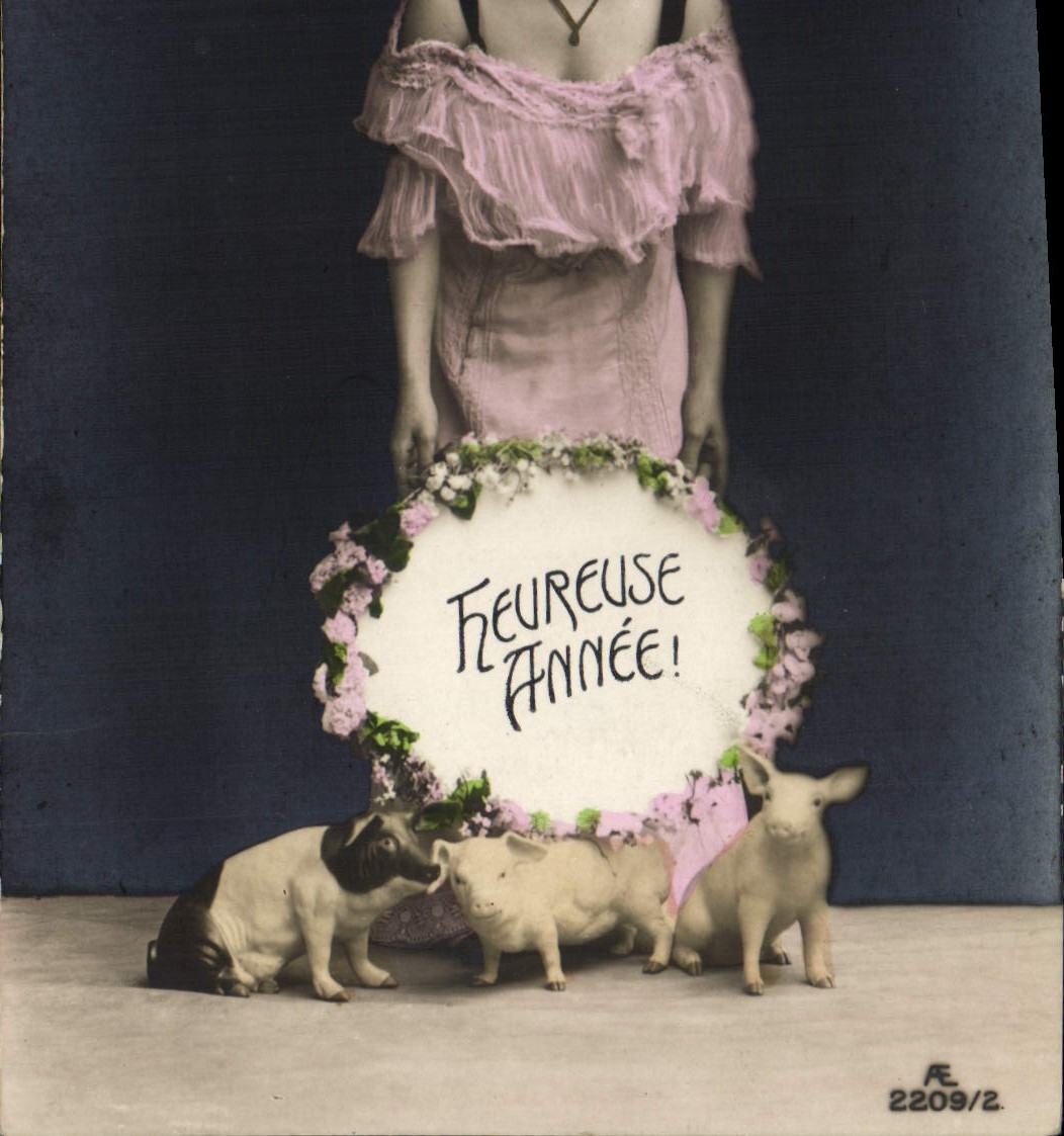 CPA Cochon Porc Femme 