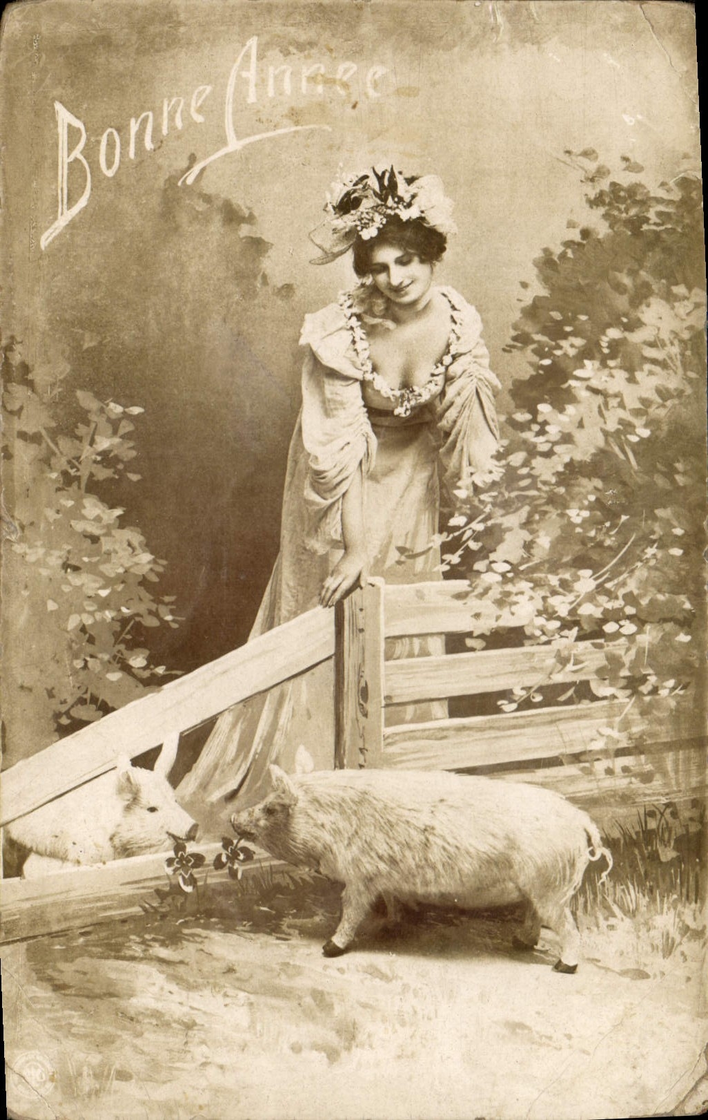 CPA Cochon Porc Femme 