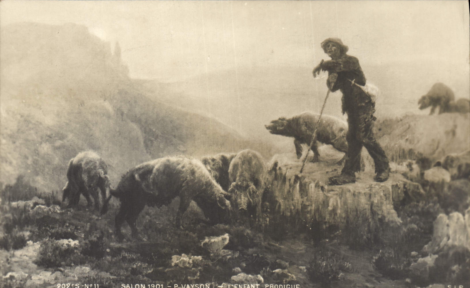 Vintage Postcard Pig Pig Living room 1901 Vaysson the prodigal son Sheep