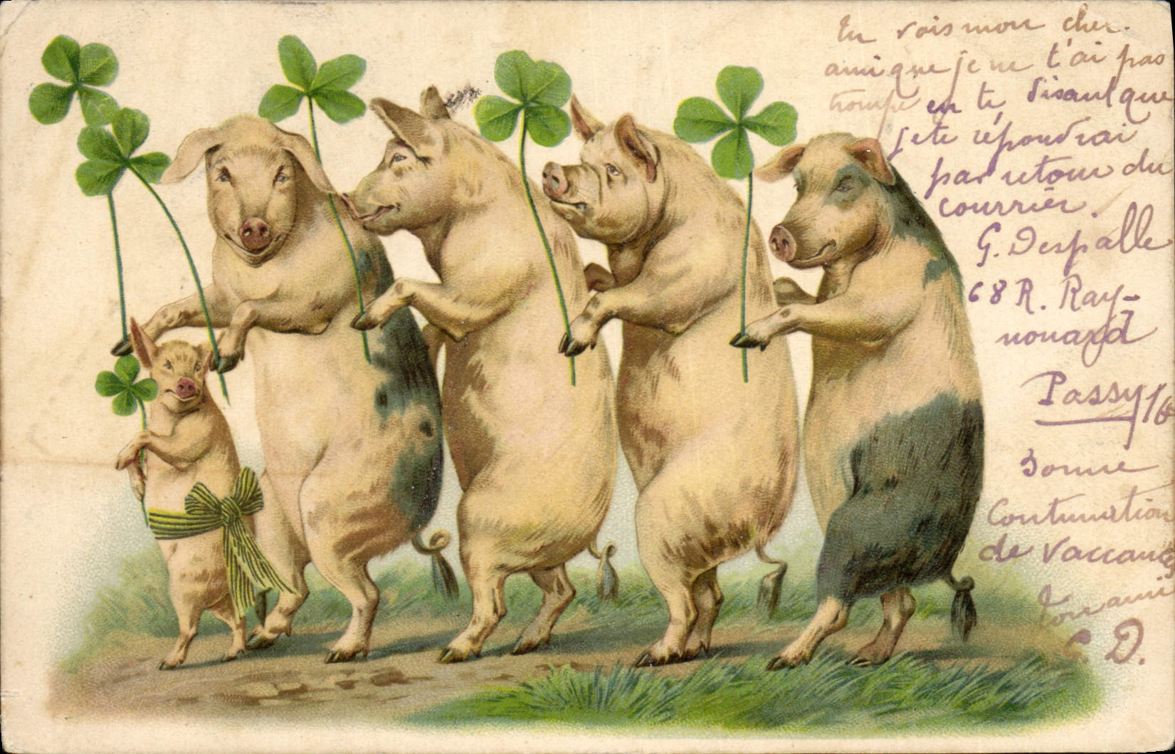 CPA Cochon Porc