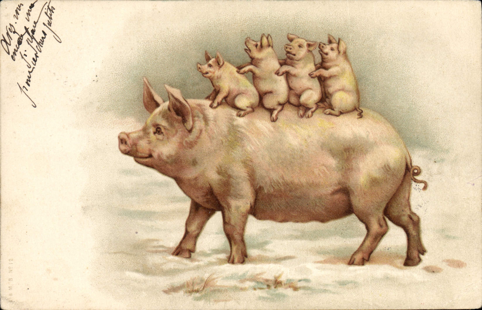 CPA Cochon Porc 